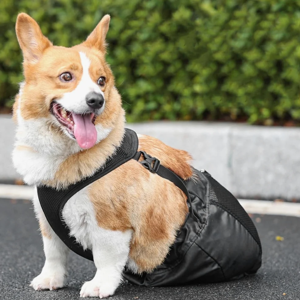 Borsa Cani per Gambe Posteriori,Borse per Cane Sedia a Rotelle Drag Bag per Animali Disabili Paralizzate