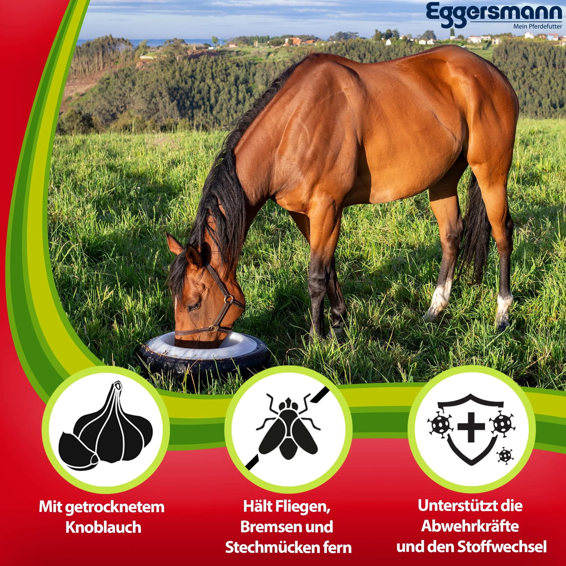 Eggersmann Mein Pferdefutter Aglio Professionale Plus 4 kg – Mangime complementare per Cavalli – Contro Mosche, Freni e zanzare – Supporta Il metabolismo e la Difesa immunitaria