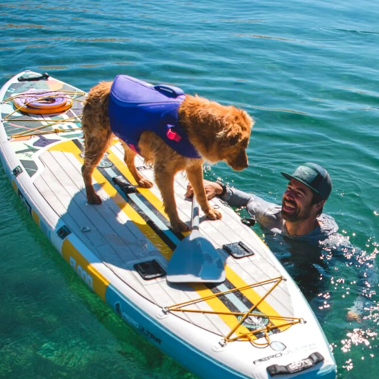 Ruffwear Float Coat Dispositivo di Galleggiamento per cani per Nuoto, Canottaggio e Sport Acquatici Sicuri, XX-Small - Purple Lily