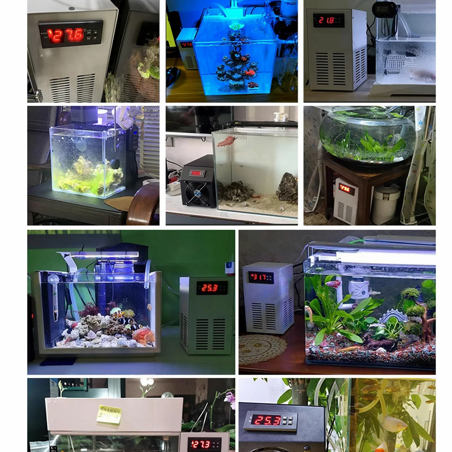 Bewinner Refrigeratore per Serbatoio d'Acqua, Mantiene la Temperatura Ottimale Refrigeratore d'Acqua per Acquario, Raffreddamento Elettronico Rapido, Funzionamento Silenzioso (Spina