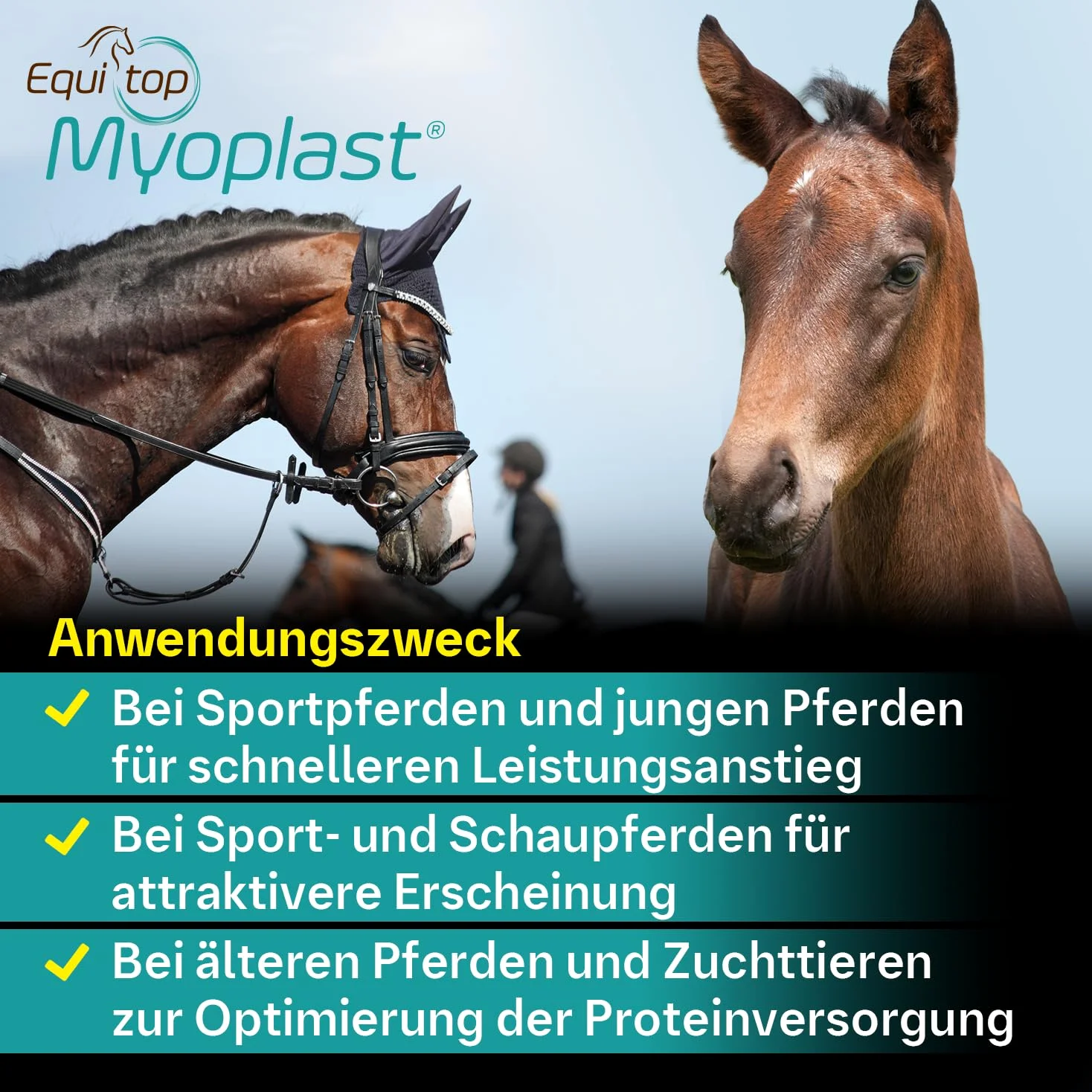 EQUITOP Myoplast