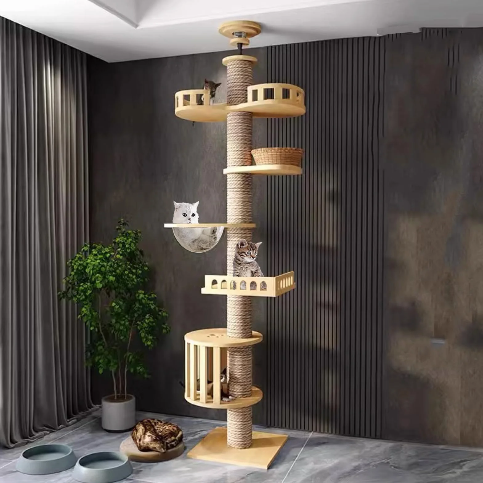 Tiragraffi a soffitto, tiragraffi alto, capsula stanza, amaca per gatti, completamente avvolta in corda di sisal, capsula per stanza, gabbia per gatti (240~280 cm T03), altezza del soffitto