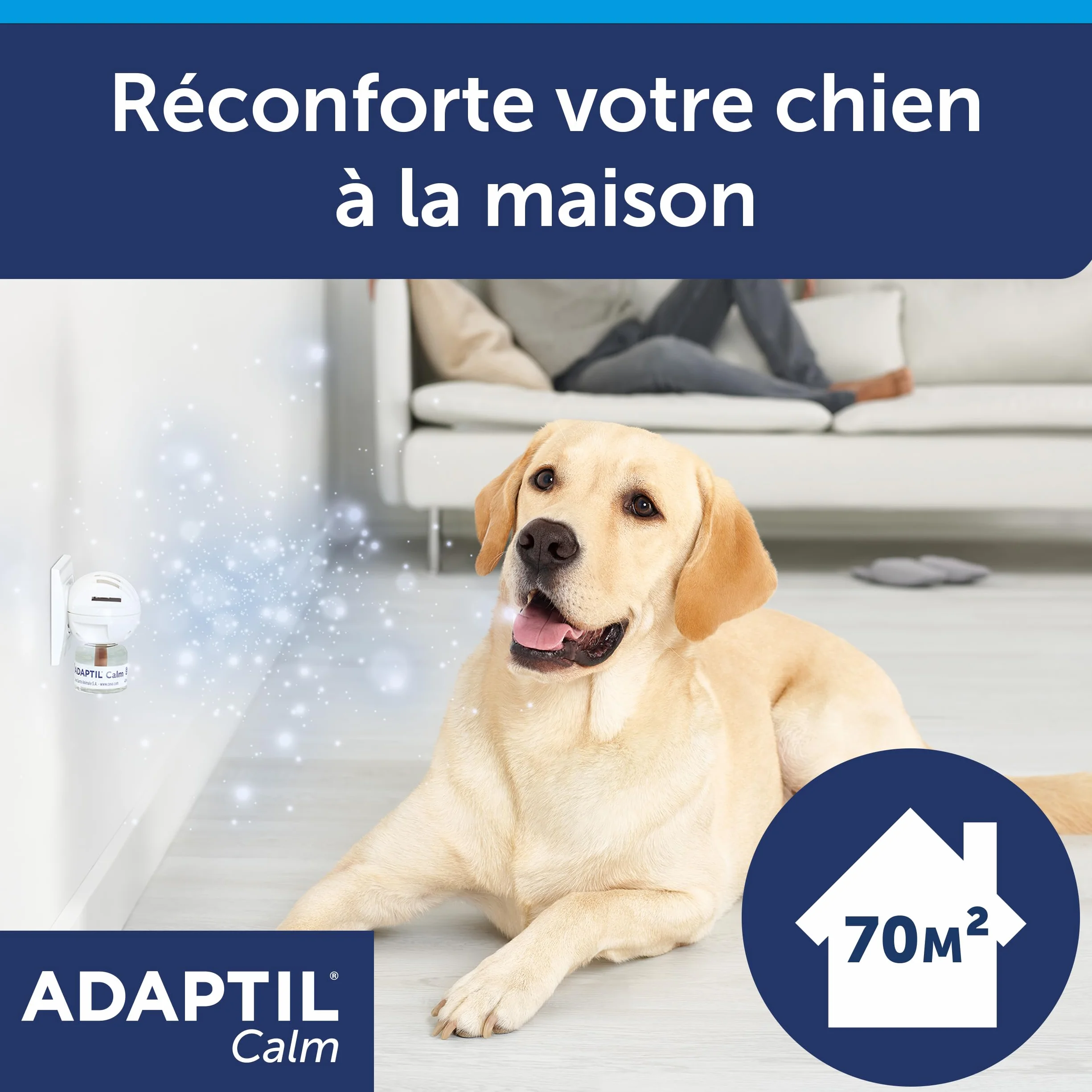 ADAPTIL Calm 30 Day Refill x 3, Aiuta Il Cane a Far Fronte a Problemi comportamentali e sfide di Vita, 48 ml x 3