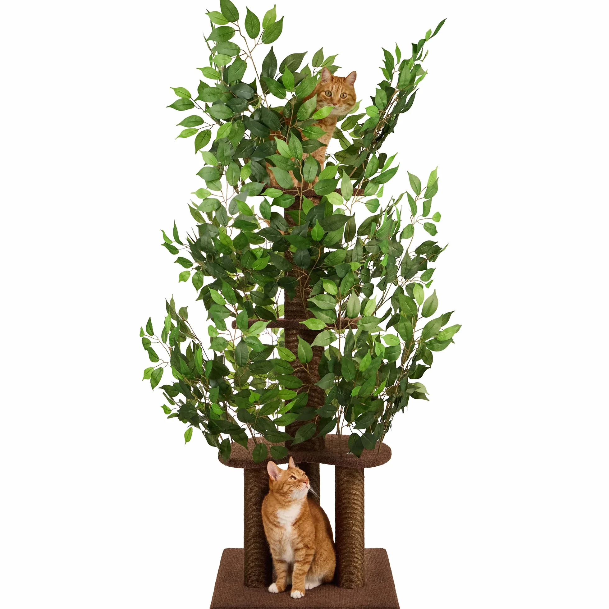 Albero per gatti con Foglie – Compatto e Robusto Tiragraffi per gatti adulti – Albero con 4 Livelli Graffiabili – Per Arrampicarsi Nascondersi e Dormire – Facile da Montare – Ideale per Spazi Ridotti