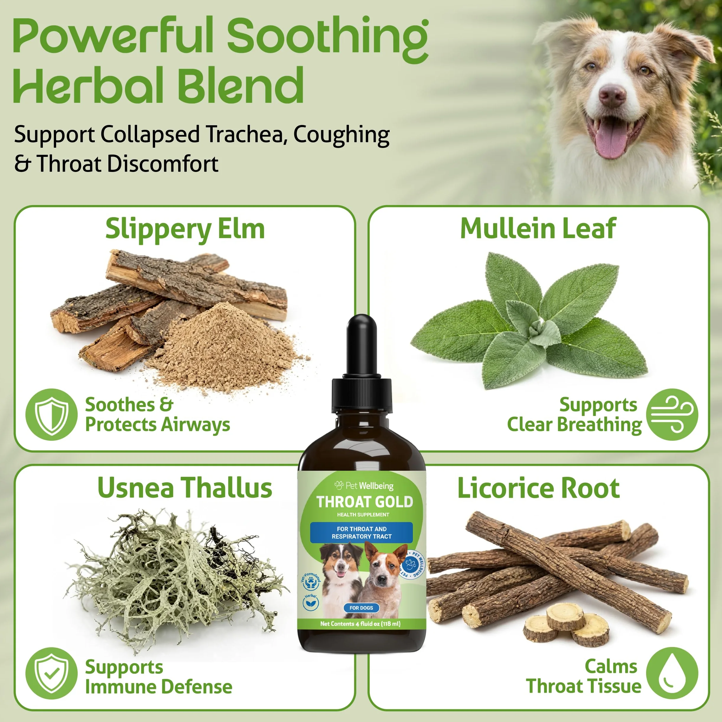 Pet Wellbeing Gola Oro - Tosse E Gola Succhietto.