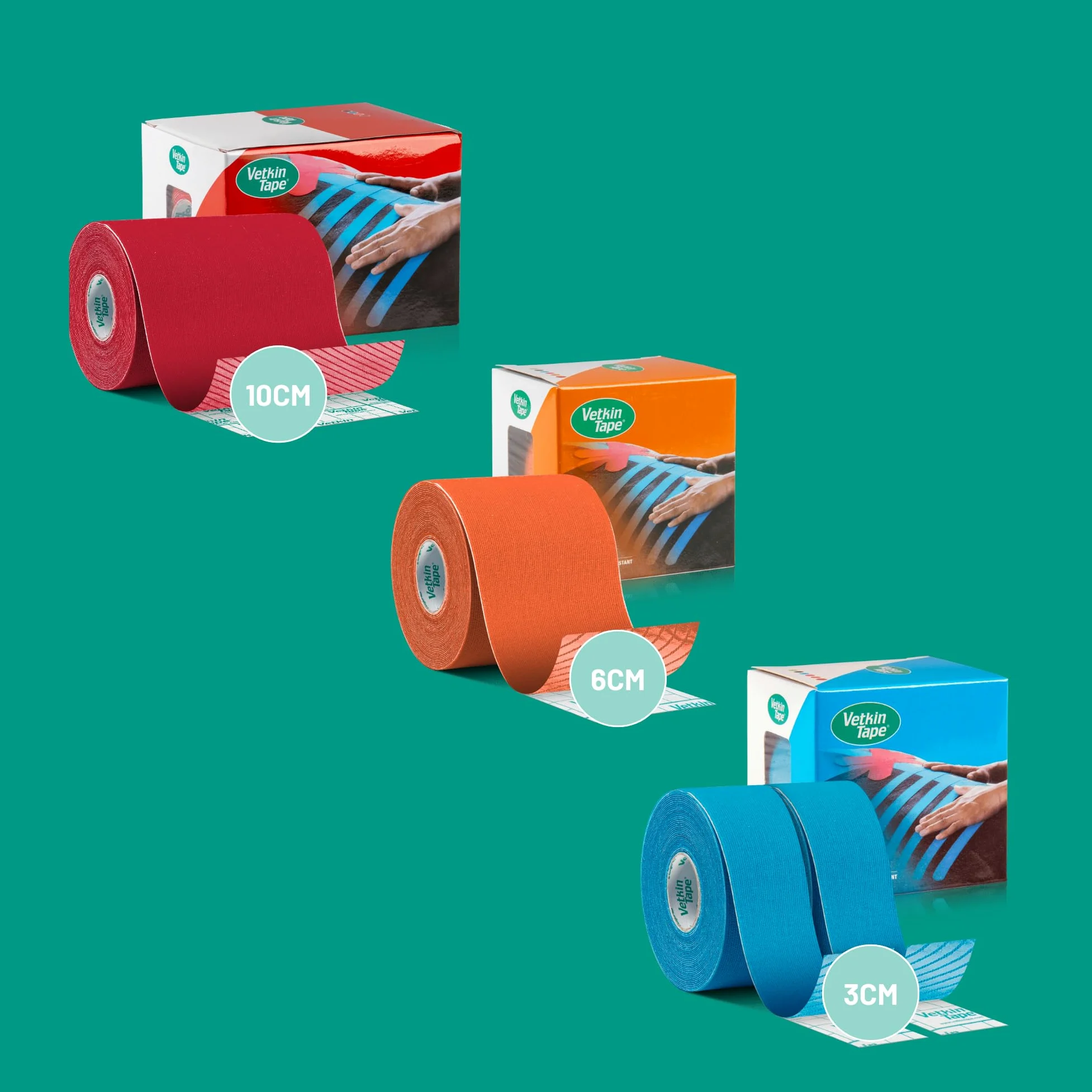 Vetkin Tape Kit Introduzione Equino | Nastro Kinesiologia Equina | Libro di Taping per Cavalli | 3 Dimensioni di Nastro Kinesiologia Veterinaria | Forbici Premium