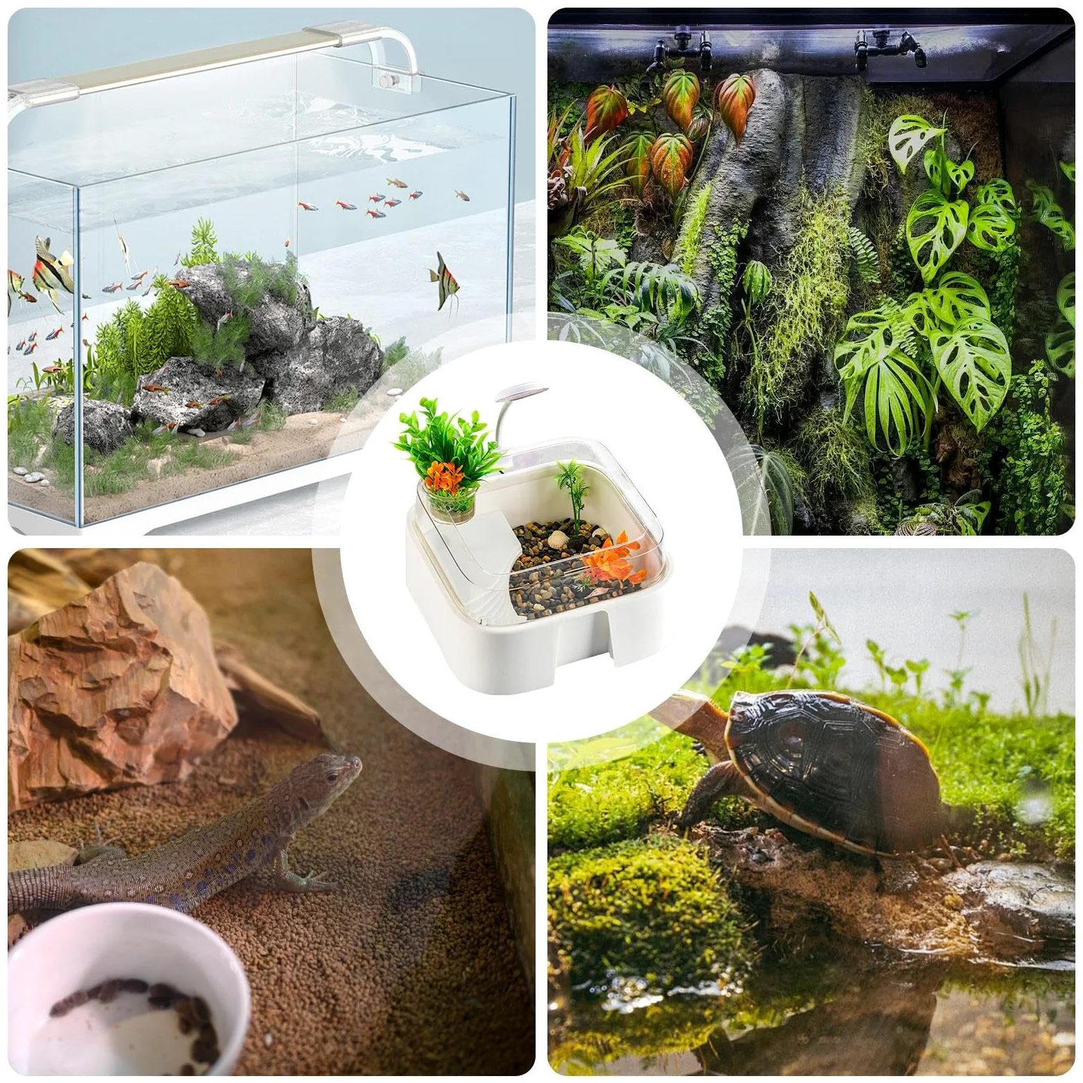 Acquario Per Tartarughe | Terrario Antifuga Con Luce | Habitat Per Granchi Eremiti E Terrario Per Tartarughe | Scrivania Casa Sala Da Soggiorno Pesci Paguri Testuggini Draghi Barbuti