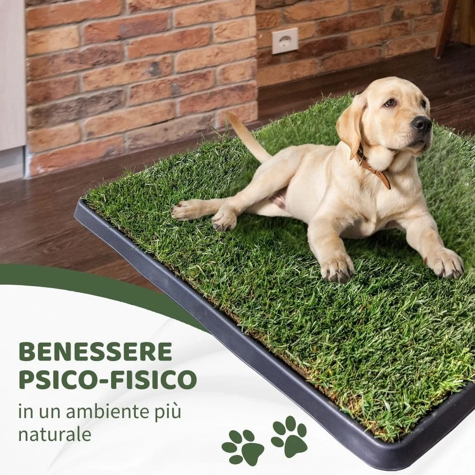 Kit XL cane PetZolla - Lettiera per cani in Vera Erba con Vassoio Riutilizzabile 100X90 cm, Traversine cane 100% Naturali e Atossiche, Toilette per cani in vero prato dura fino a 4 Settimane