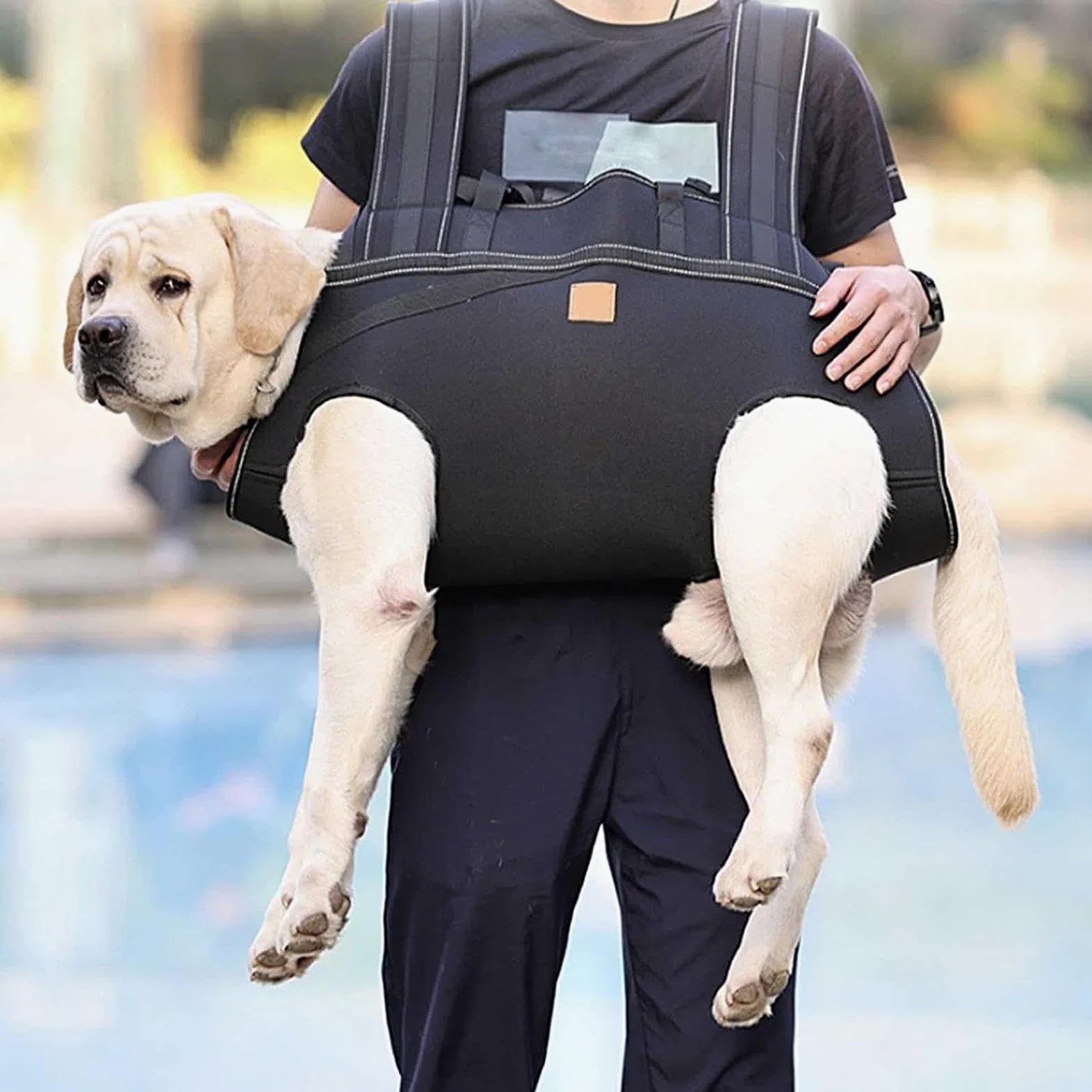 Imbracatura Per Sollevamento Cani Pettorina Regolabile Traspirante | Imbracatura Per Trasporto Cani Per Anziani Riabilitazione Mobilità Razze Grandi Passeggiate Quotidiane Viaggio