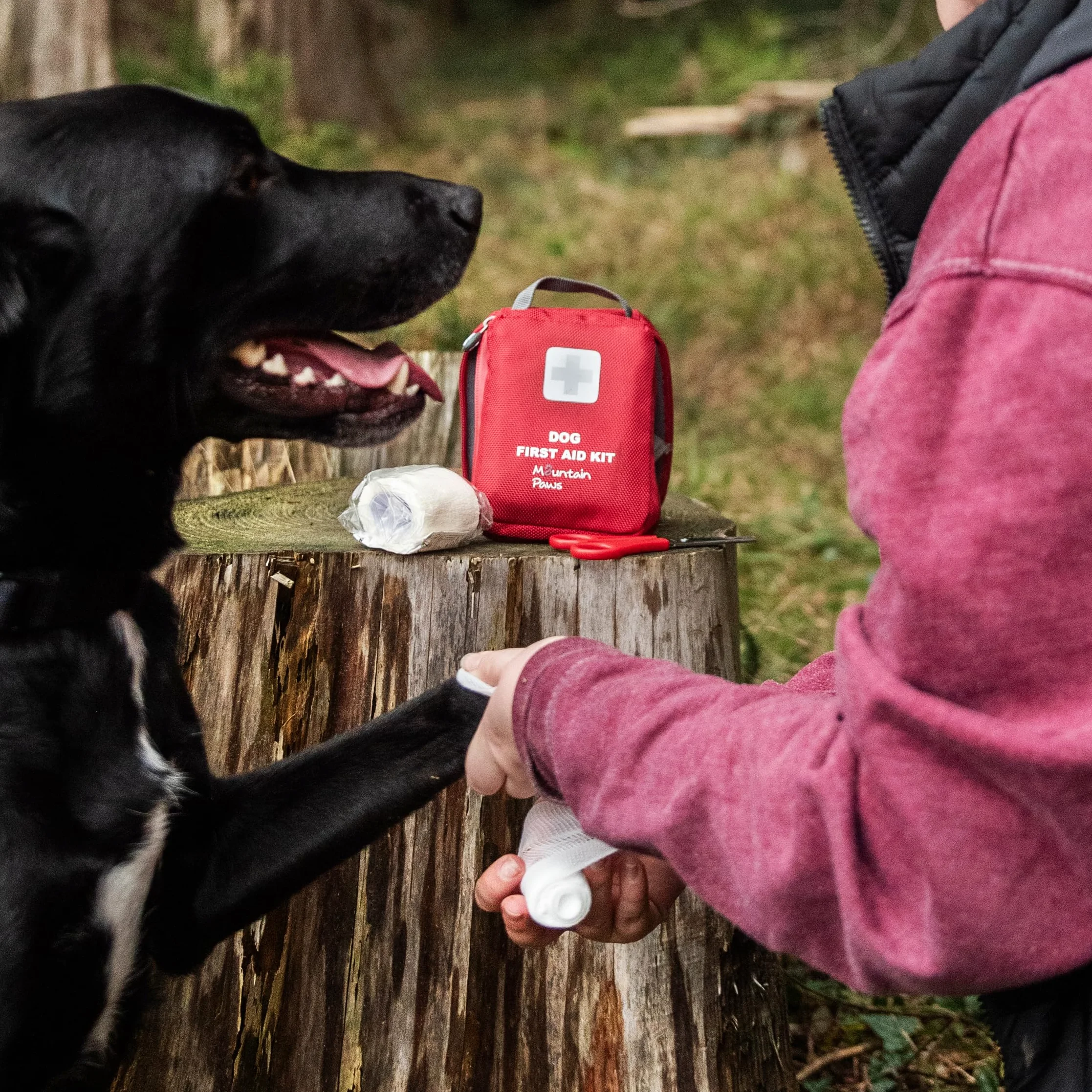 Mountain Paws Kit di Pronto Soccorso Multiuso per Cani da Viaggio, per casa, all'aperto o in Viaggio, Rosso