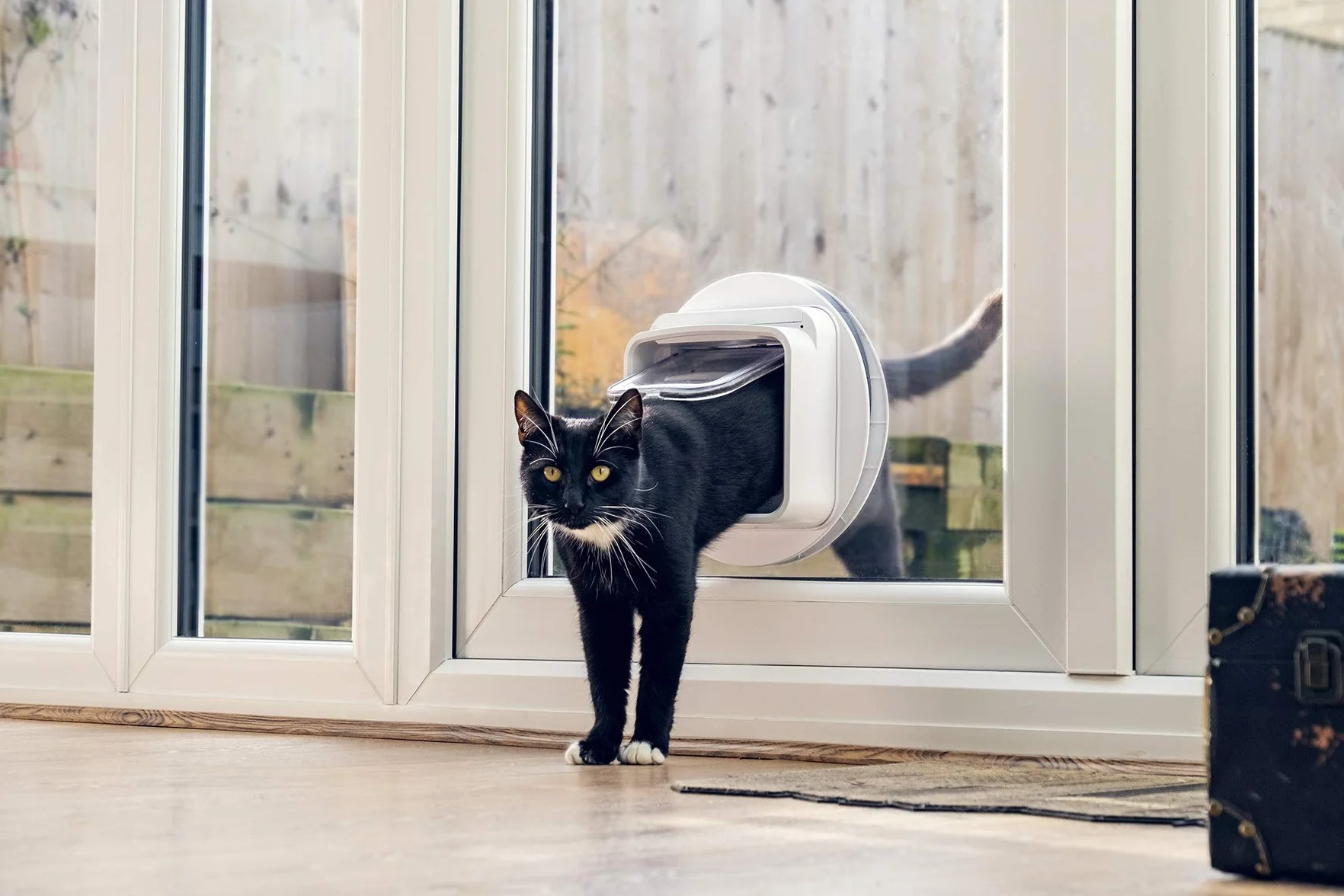 Gattaiola con lettore di microchip Connect SureFlap Sure Petcare, tecnologia DualScan, compatibile con App mobile, colore Bianco, richiede Hub e 4 batterie AA (non incl.)