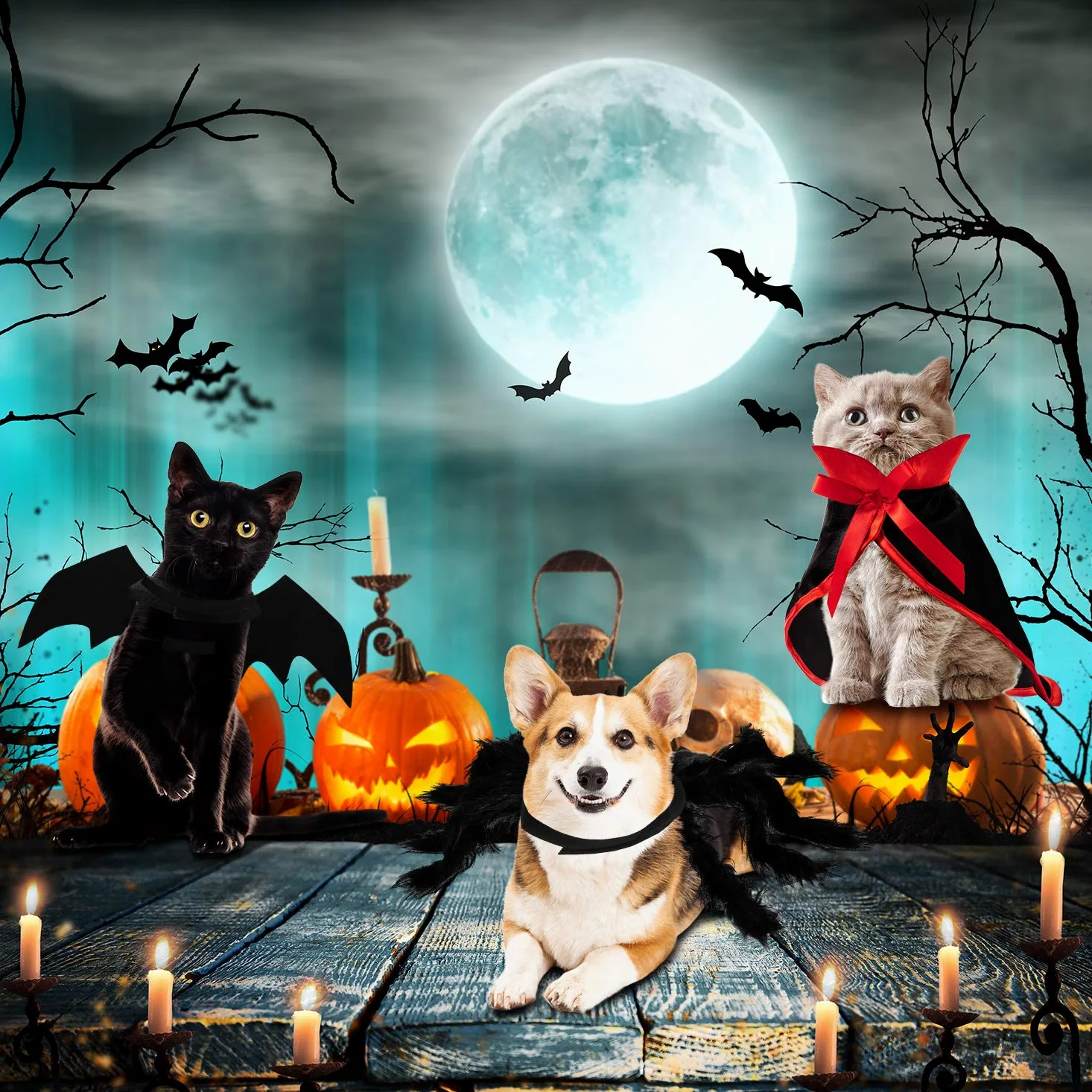3 Set Costumi per Cani Gatto di Halloween, Ali Pipistrello da Animale Mantello Vampiro Strega Imitazione Gigante Ali di Ragno Accessori Cosplay Costume Animali Halloween Decor Ala per Cani Gatti