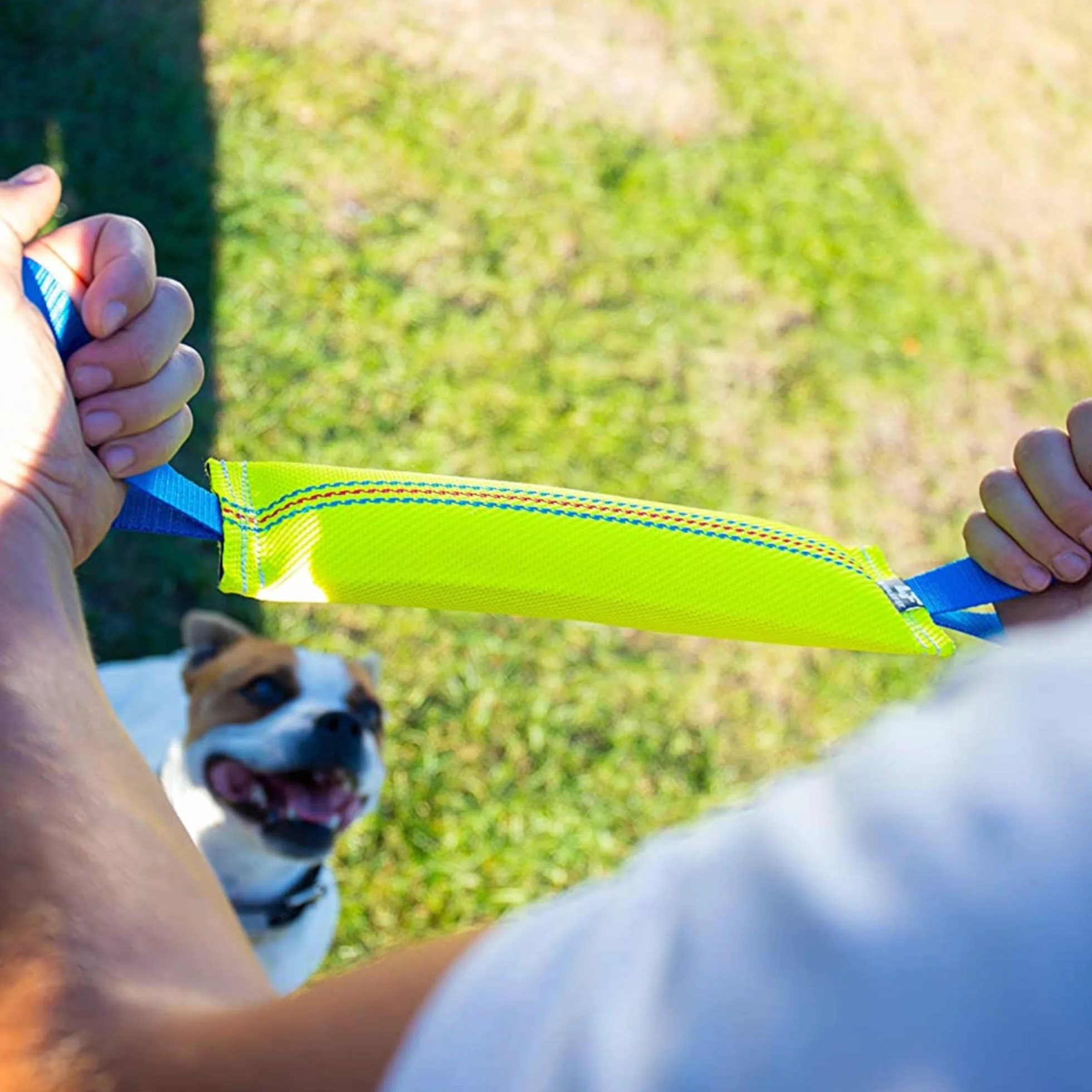 Bull Fit Manicotto per Cani 2 pezzi, con Cuciture Esterne, con due Fiocchi - Duraturo, fatta a mano in manichetta antincendio - per l'addestramento o per il gioco
