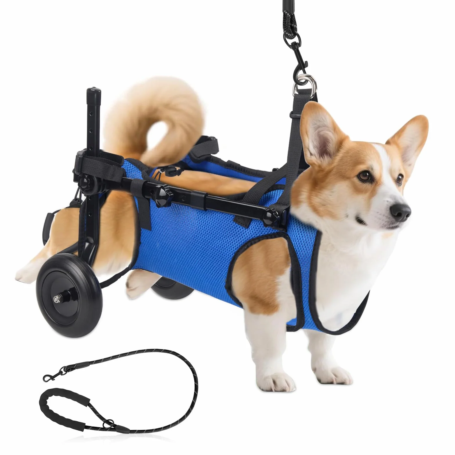 Sedia a rotelle regolabile per cani di piccola taglia, supporto zampe posteriore pieghevole con ruote, misura M, aiuto per la mobilità per zampe posteriori paralizzate (S)
