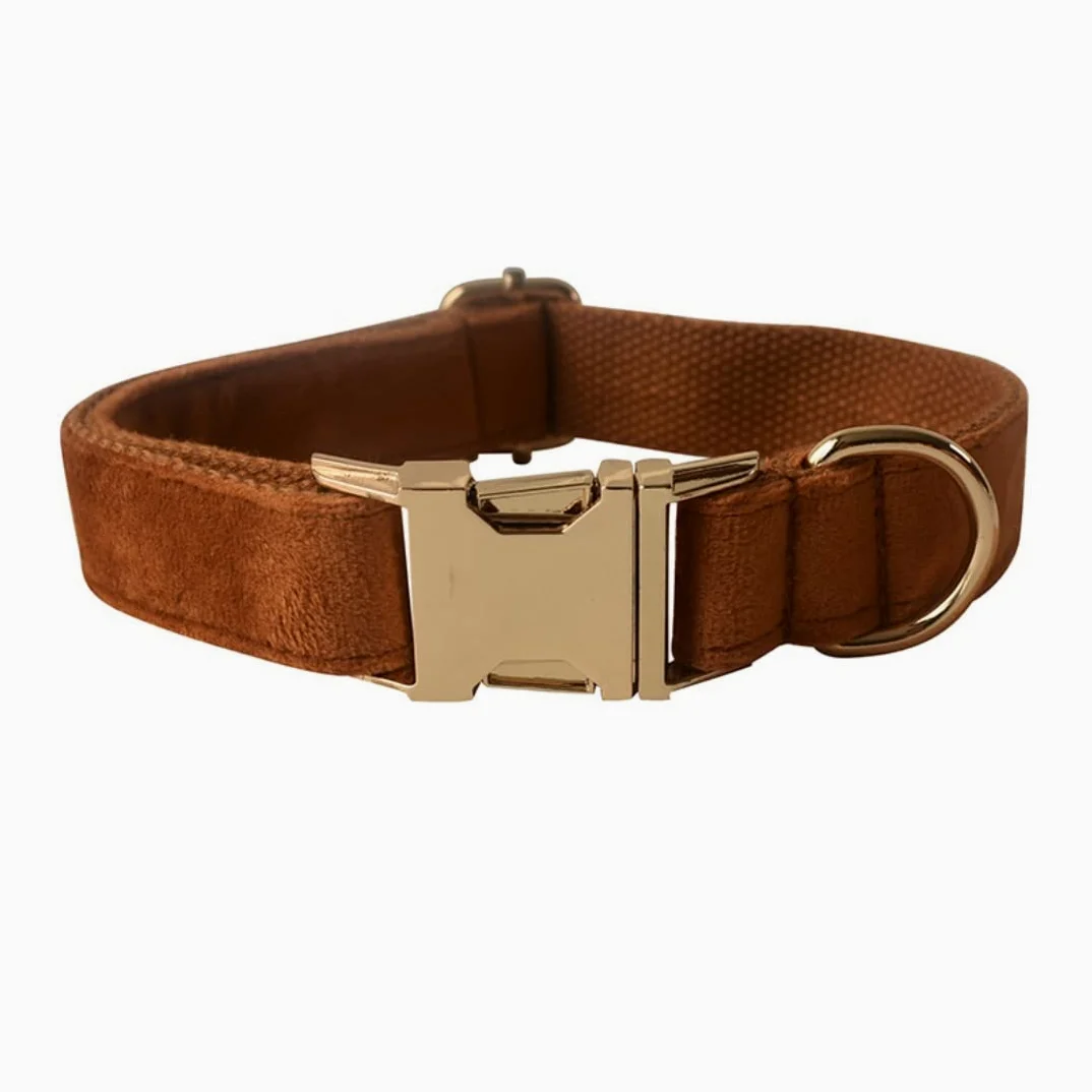 Morbido Guinzaglio Per Cani Guinzaglio Per Cani Con Fibbia In Oro Collare Collo Per Animali Domestici Set Di Sicurezza In Lega Per L'allenamento Quotidiano All'aperto Antiscivolo Flexi(27-41cm)