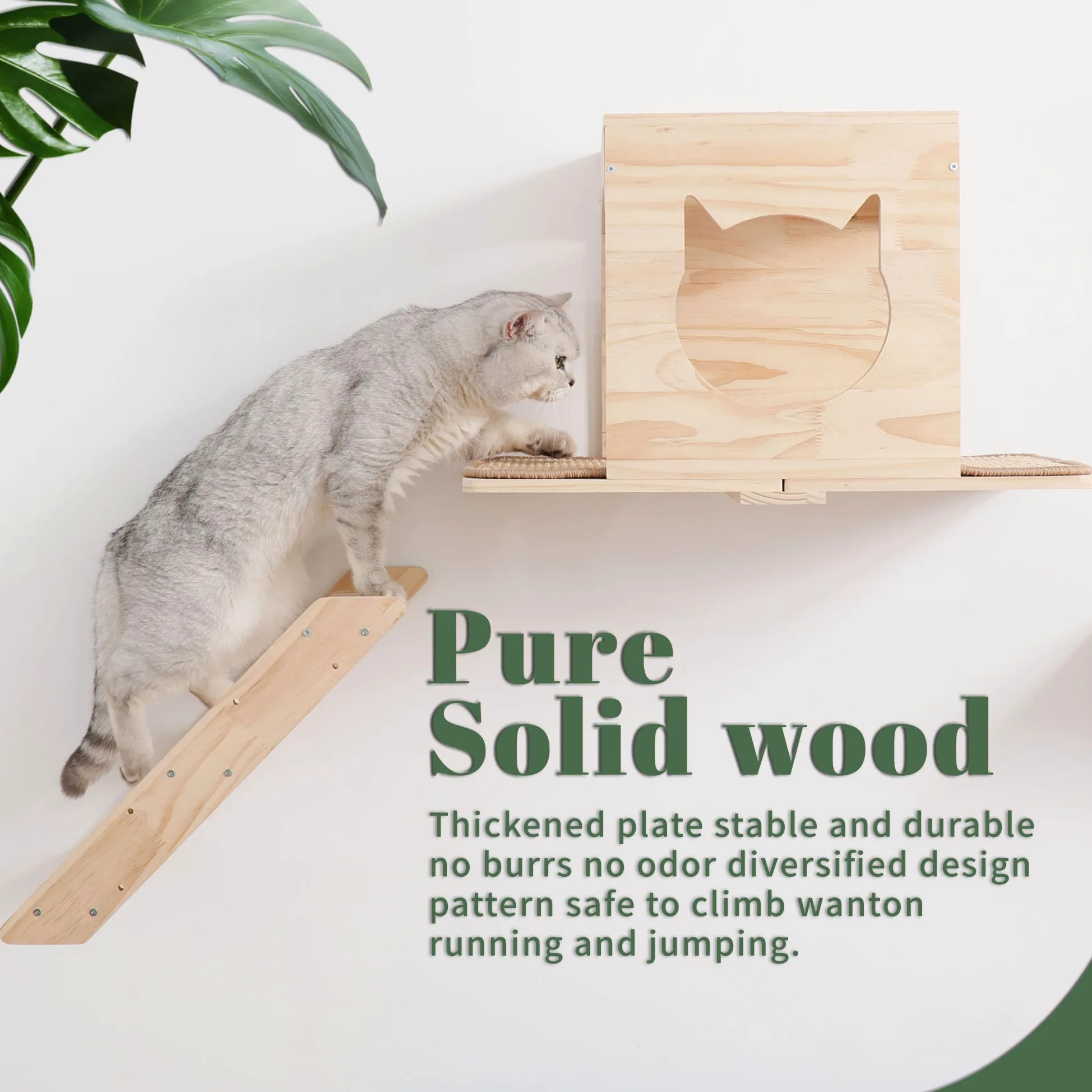 Set di mensole da parete per gatti, con casa, tiragraffi in sisal, gradini per arrampicarsi, in legno massello, per interni, design salvaspazio