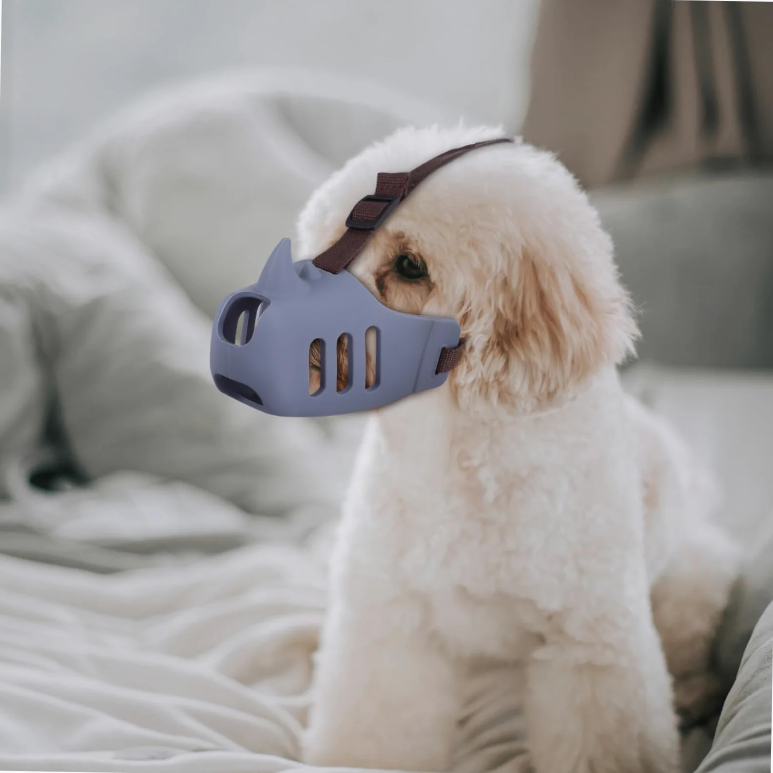 Gatuida 3pezzi Museruola Per Toelettatura Cani Morbida in Silicone Regolabile Per Prevenire Morsi e Proteggere La Bocca Adatta Piccoli Animali e Cani Da Masticare