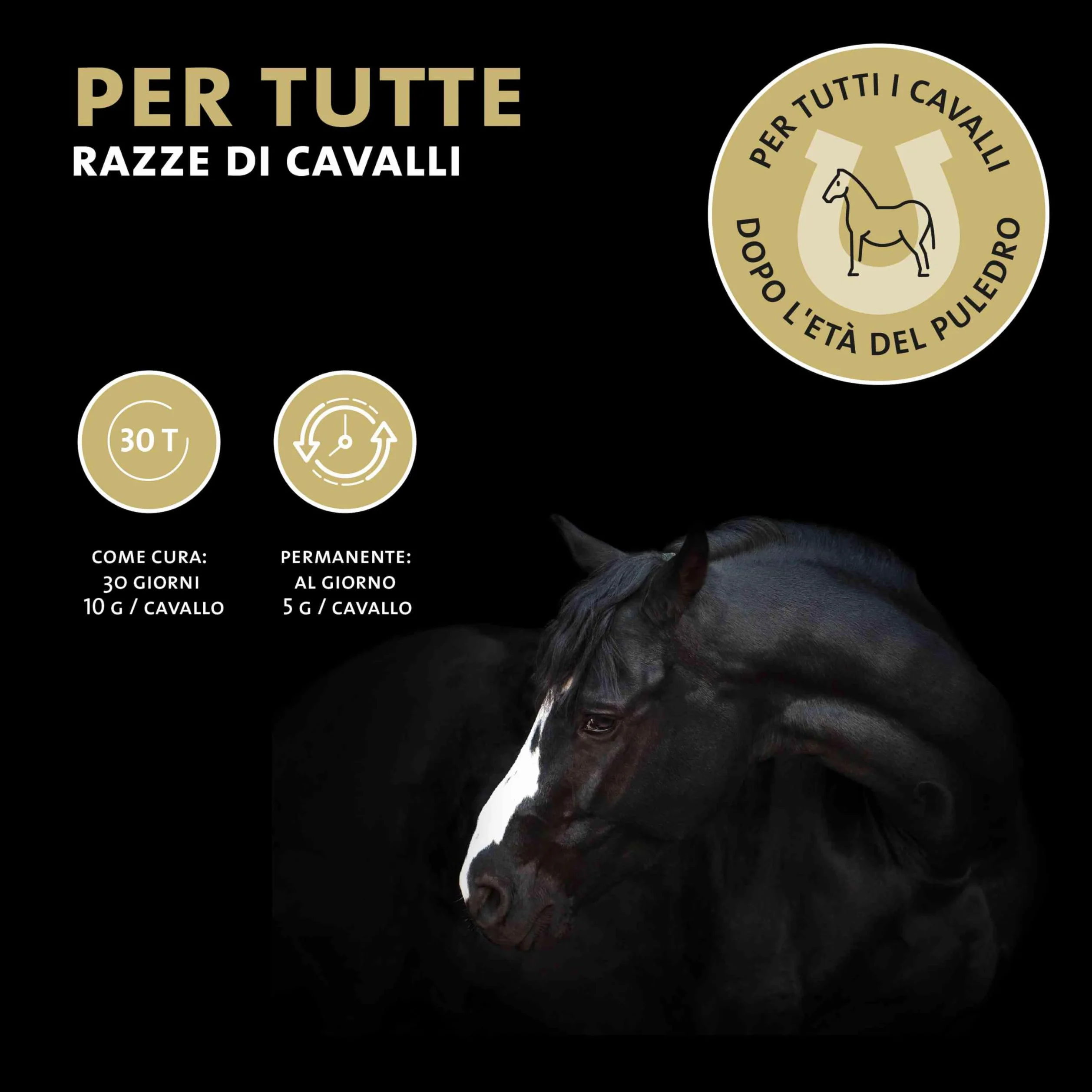Peticare Polvere Flora Intestinale ed Erbe Cavalli – Supporto Naturale per l'Ambiente Intestinale – Con Semi di Zucca e Assenzio – Integratore per Cavalli