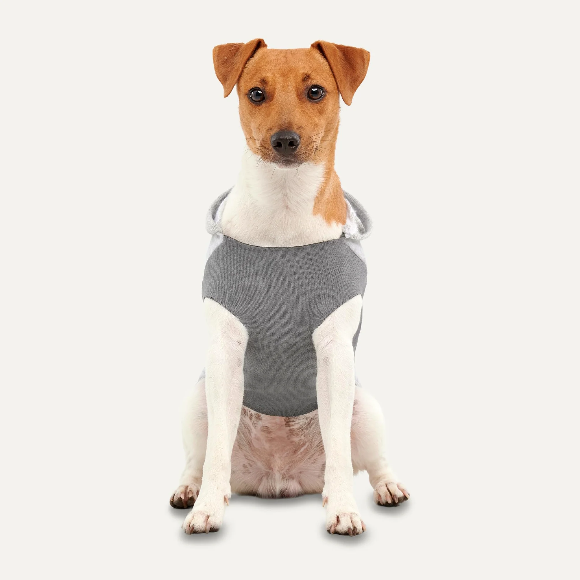 Felpa con cappuccio per cani in pile con canguro (grigio chiaro, XL)