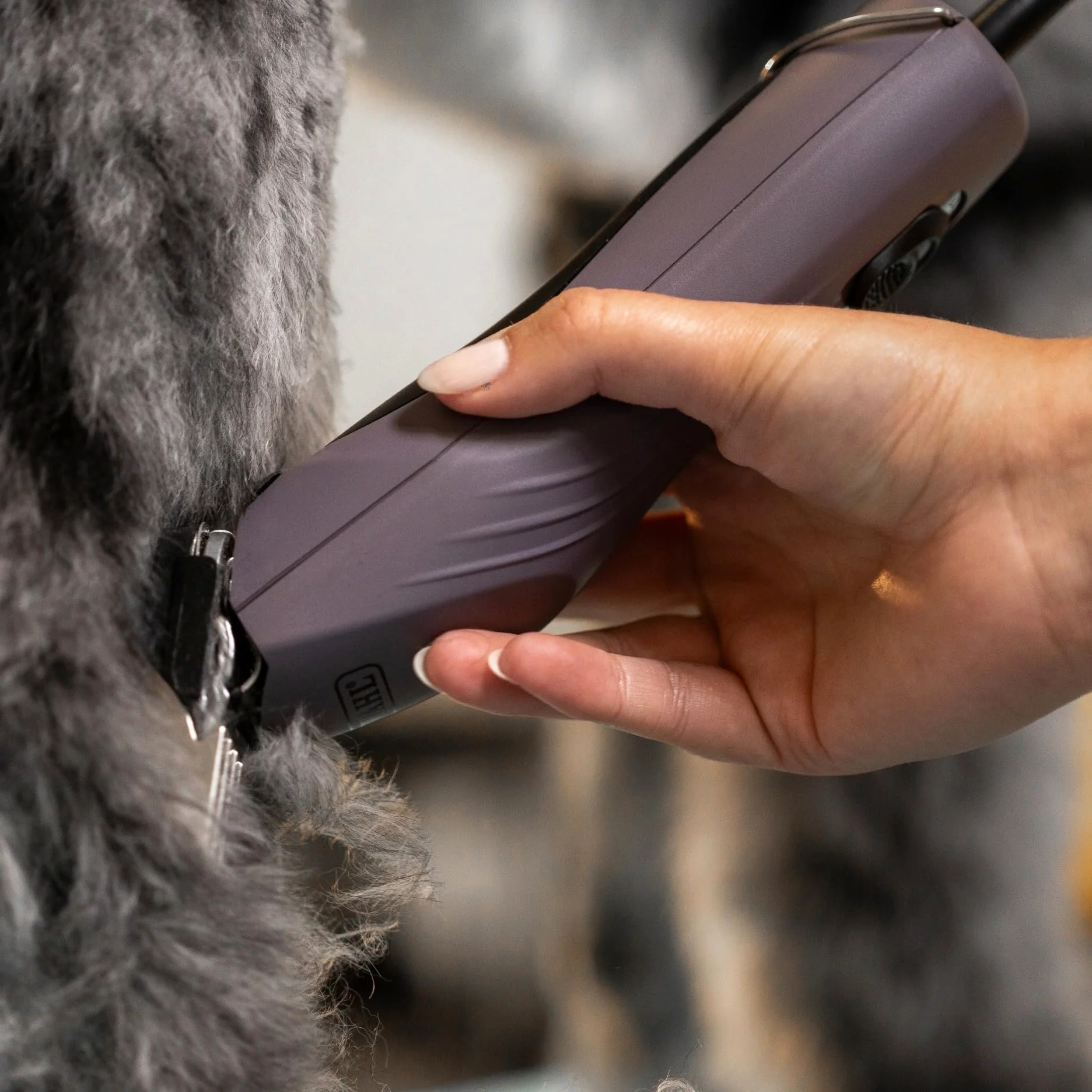 Agrarzone Edition Wahl KM10+ tosatrice professionale per cani e gatti - Silenziosa, Potente, con set di rilievi - Ideale per toelettatori e veterinari