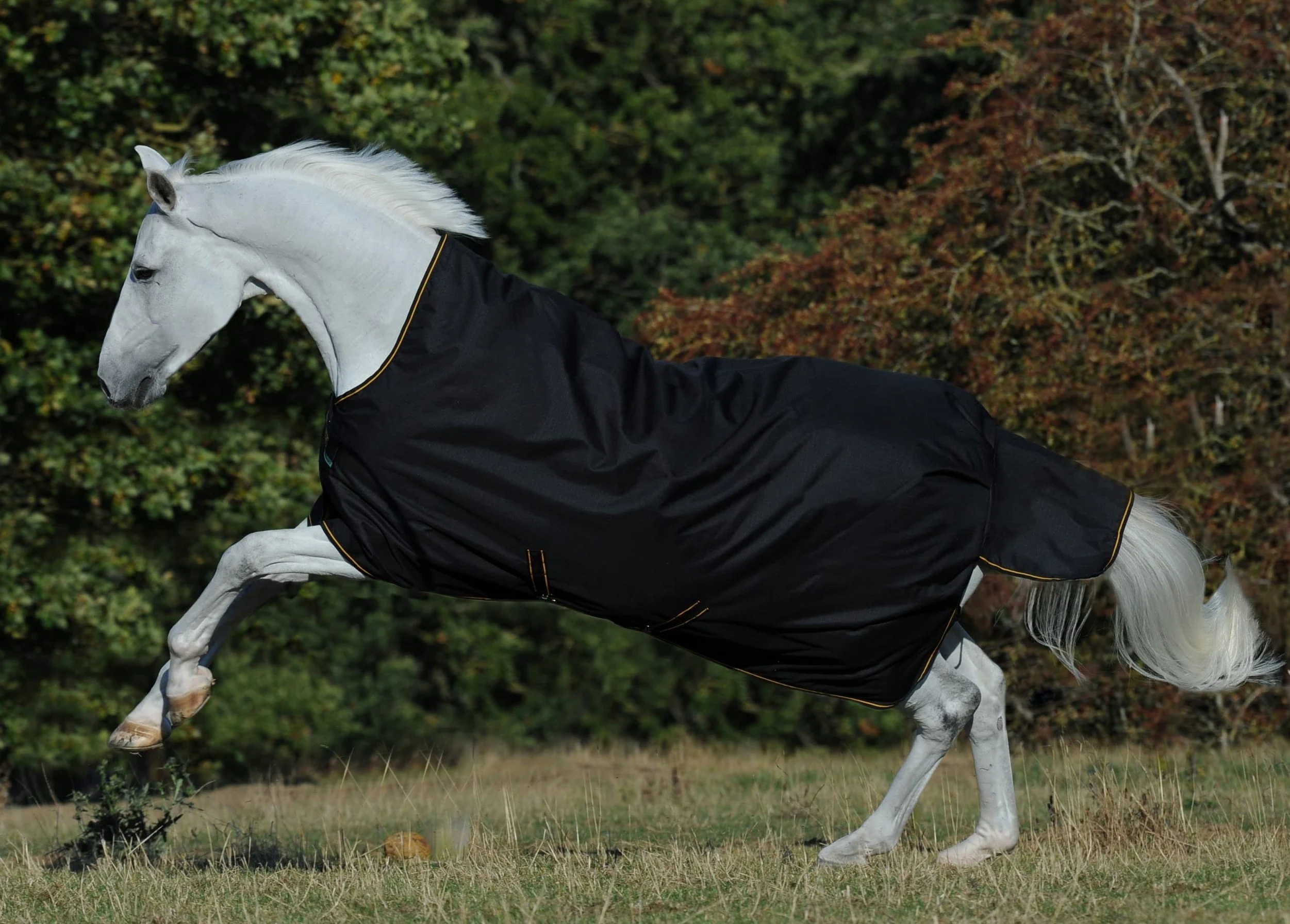 Bucas IrishTurnout - Coperta per cavallo, extra 300 g, 130 SW/Gold