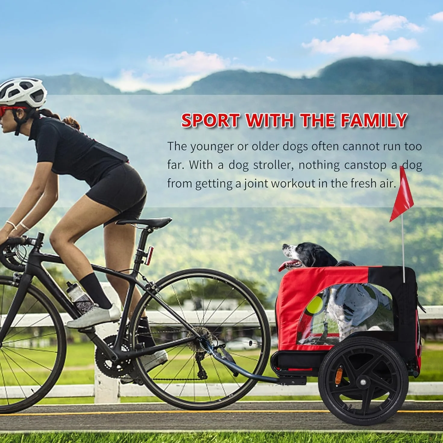 sogesfurniture Rimorchio per cani da bicicletta, pieghevole, con frizione, bandiera, riflettore, tela Oxford 600D, per cani