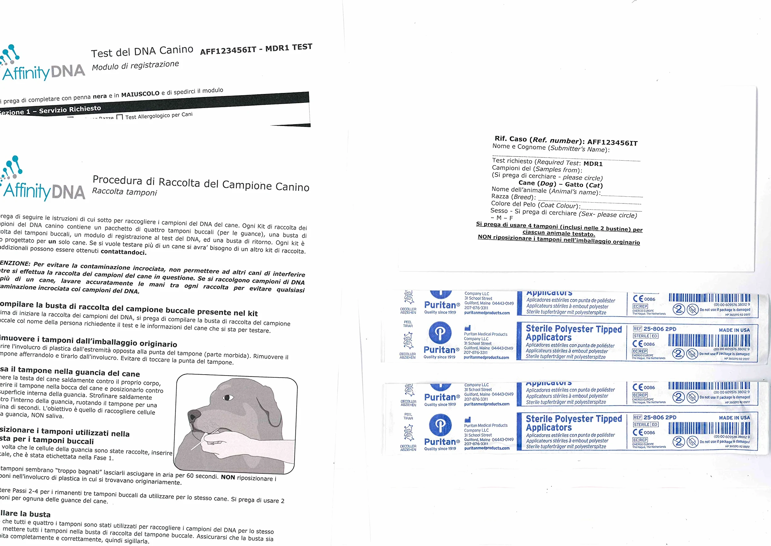 Kit per Test del Dna Resistenza Multifarmaci 1 MDR1 per 1 Cane - Kit di Raccolta Campioni a casa per 1 Cane - Kit per Test MDR1 per Cani della