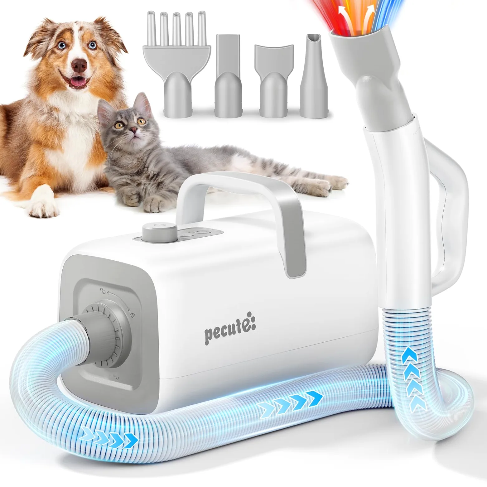 pecute Asciugatore per Cani Blower Molto Silenzioso, Soffiatore per Cani a Velocità Regolabile - con Modalità Caldo/Freddo, Phon Cane con 4 Diversi ugelli, Tubo Elastico e Spazzola la Cura