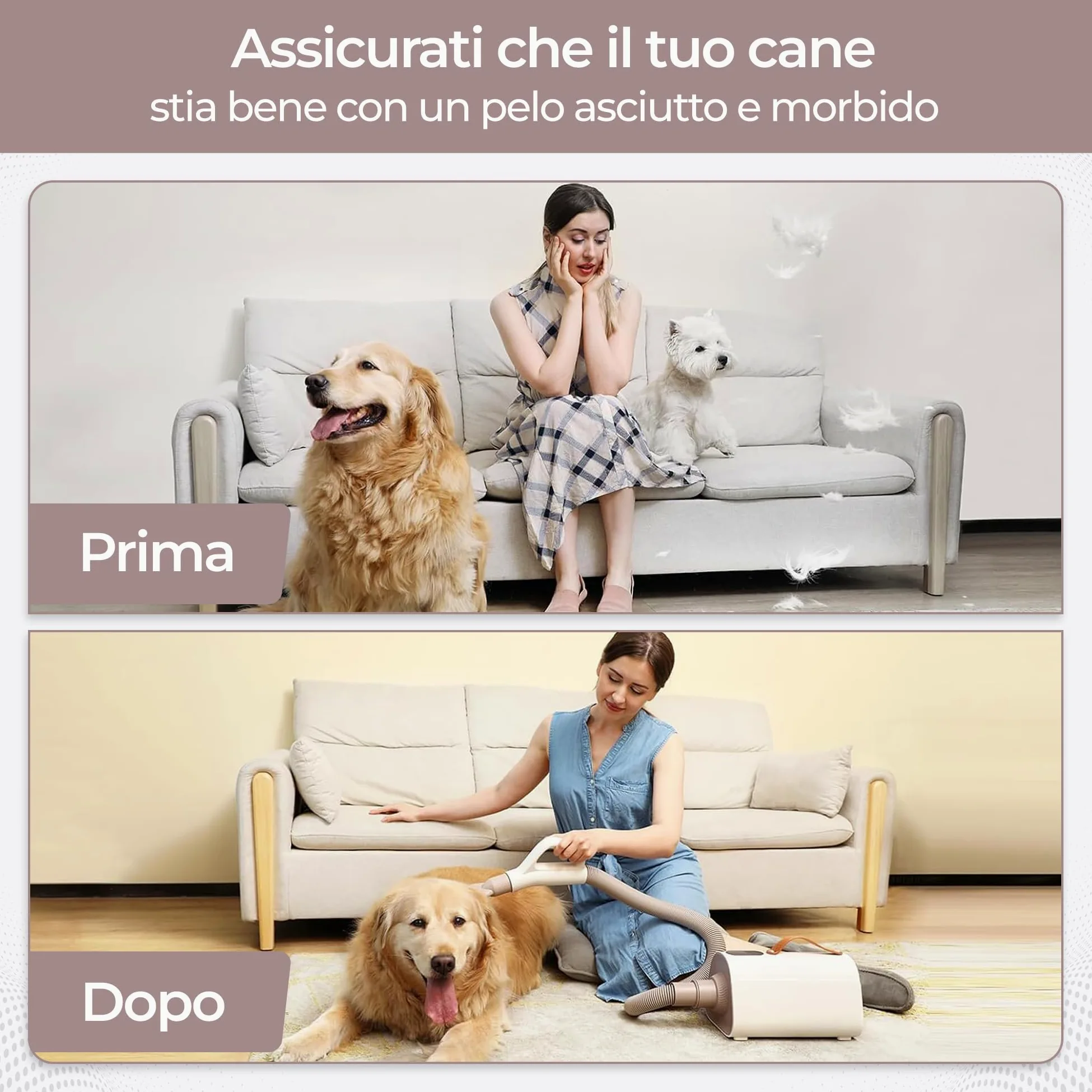 Olvy Asciugacapelli per Cani, Phon per Animali Domestici con Schermo LED Touch, velocità del Vento Regolabile, 4 Ugelli, Soffiatore Professionale per Toelettatura Cani