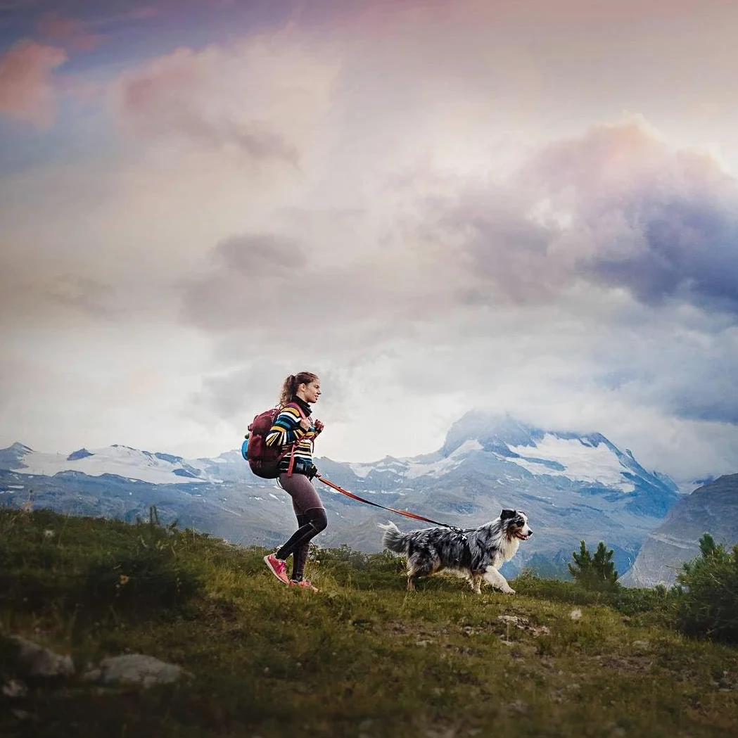 DOG Copenhagen Non-Stop - Cintura da trekking per escursioni/canicross 1 unità