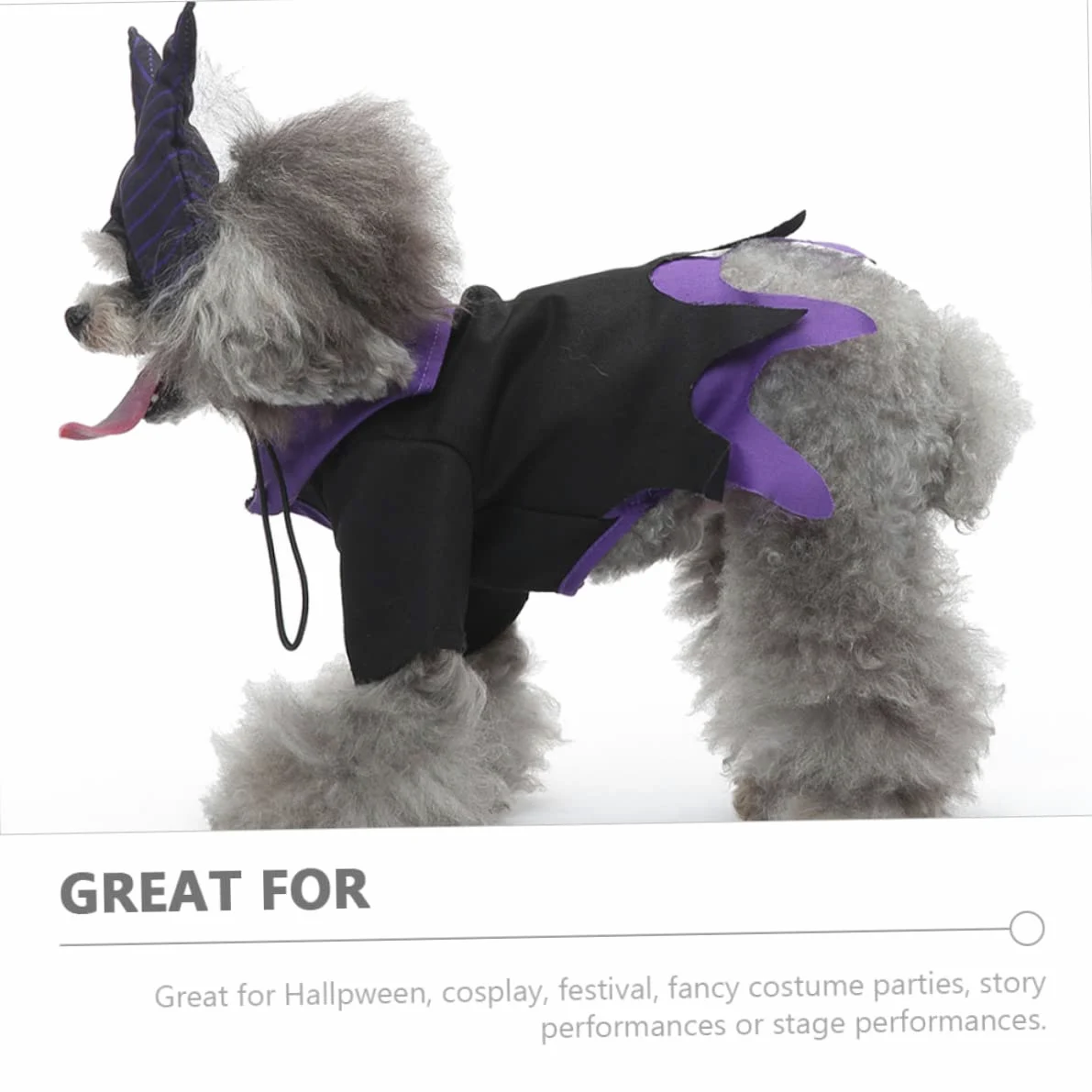 Mipcase 2sets Costume Per Cani Con Elementi Da Strega Abbigliamento Cosplay Per Feste Di Halloween Veste Divertente e Unica Per Cani e Gatti Materiale Traspirante e Confortevole