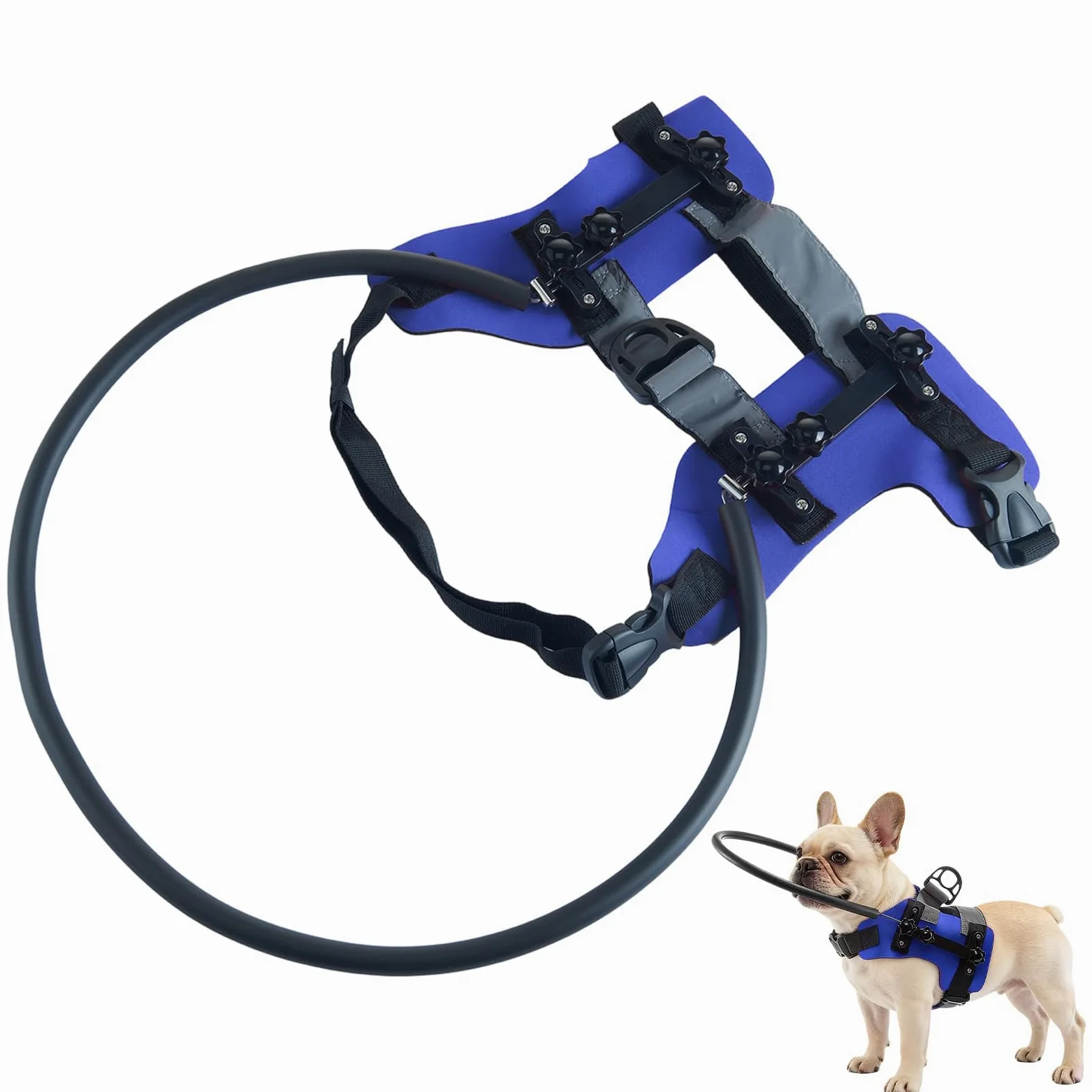 Pettorina Protettiva per Cane Cieco Collare guida con strisce riflettenti | Anello anticollisione per animali domestici per passeggiate, viaggi, addestramento, uso indoor/outd