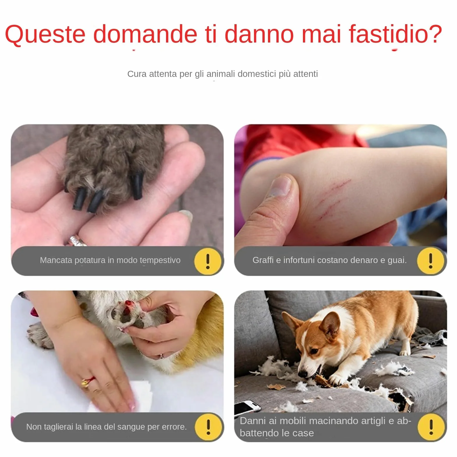 Grattatoio Cani Grattatore Unghie Per Animali Domestici Con 3 Regolazioni | Limaunghe per Cane Per Sollievo Dalla Noia, Protezione Dei Mobili, Casa, Cortile, Viaggio E Addestramento