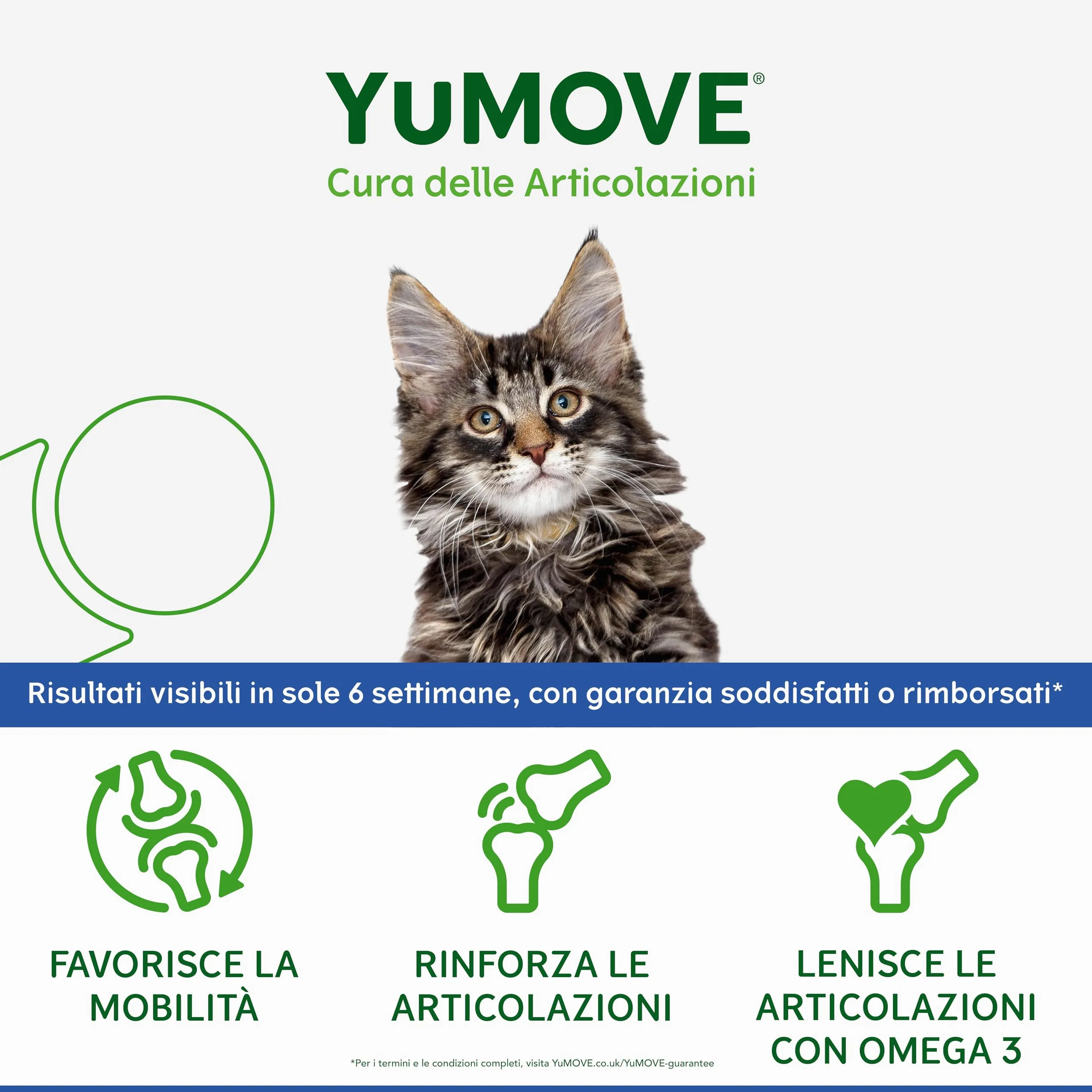 YuMOVE Integratore Articolazioni Gatti 8+ Anni - 60 Capsule Da Spolverare - In Attesa di Brevetto 100mg di Cozza Verde ActivEase per Capsule - Joint Care Gatti Articolazioni Glucosamina & Condoitina