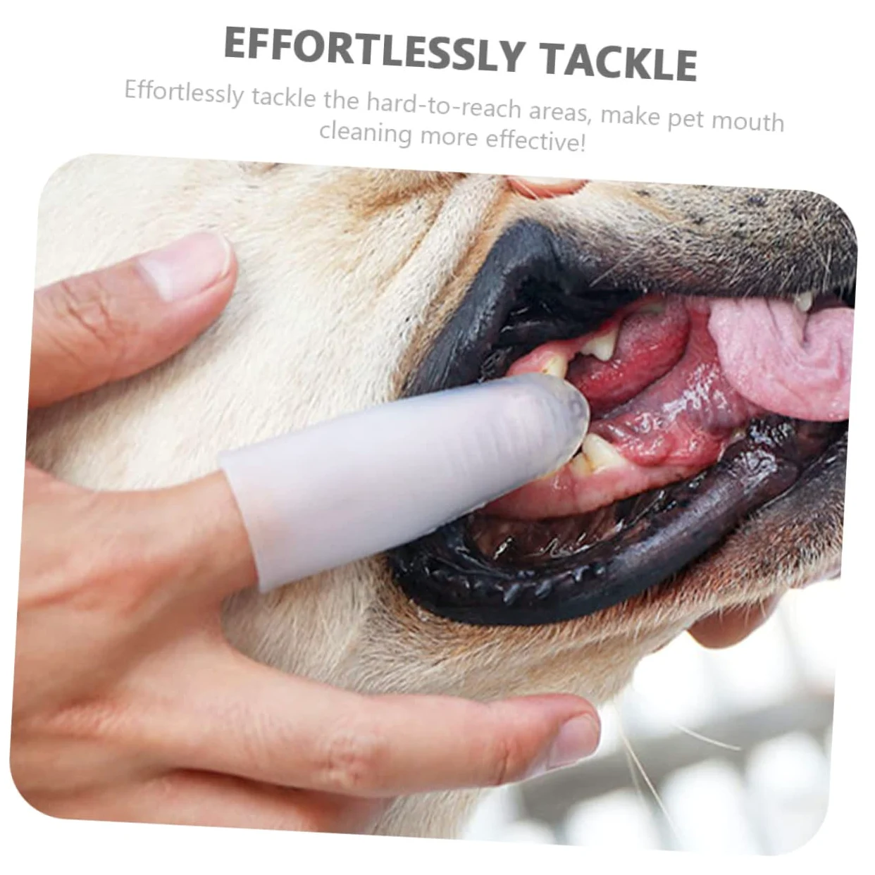 4 Pz spazzolino da denti per la pulizia del cane animale domestico orale strumento per la cura dei denti del cane spazzolino spazzolino da denti da Gel di silice bianca