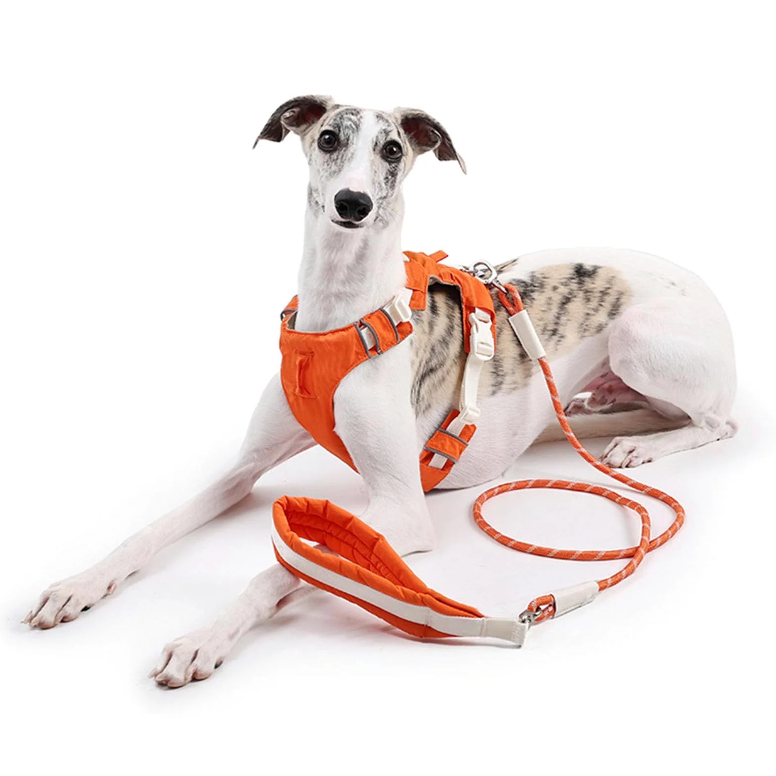 Set di pettorina e guinzaglio rimovibili per cani, gilet riflettente regolabile con comoda corda in nylon per la sicurezza quando si cammina all'aperto, semplice cane con equipaggiamento rimovibile