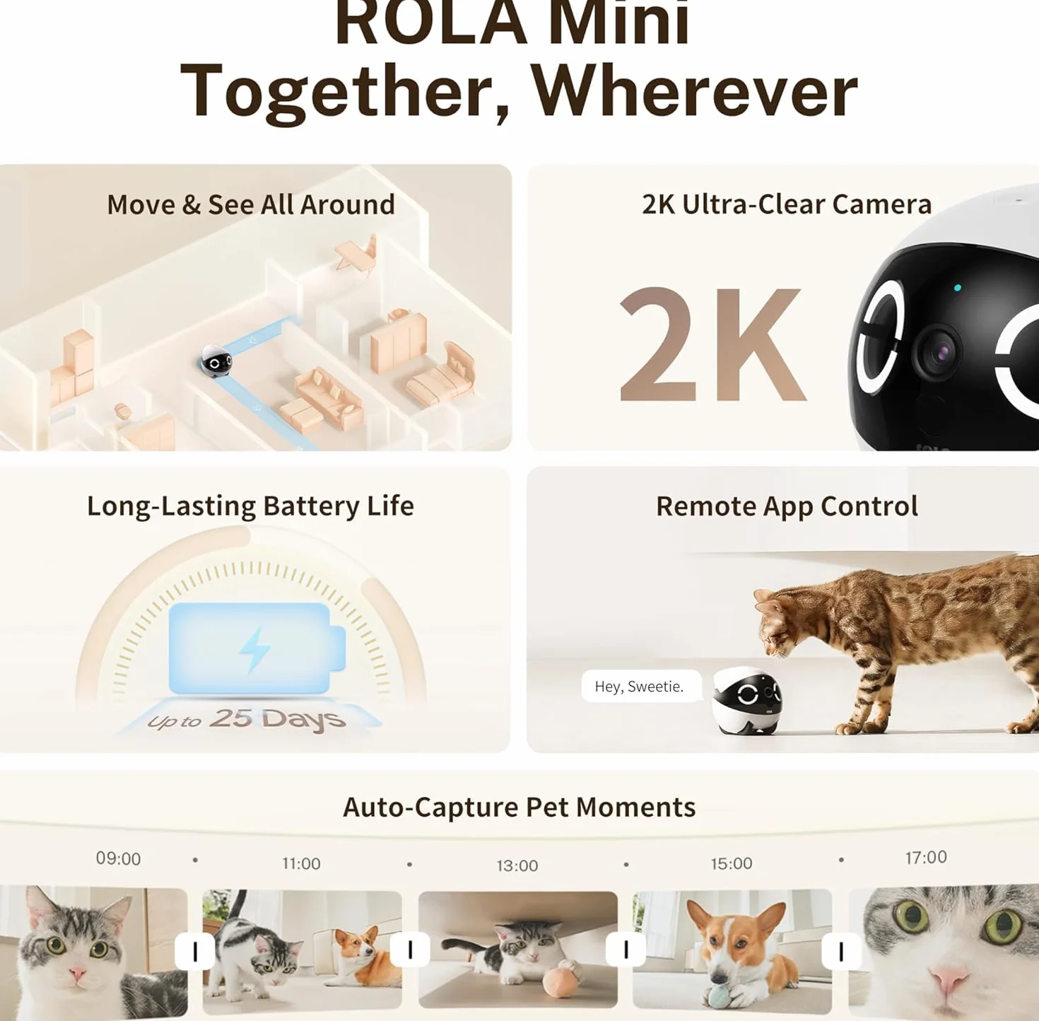 Enabot ROLA - Mini robot divertente per animali domestici