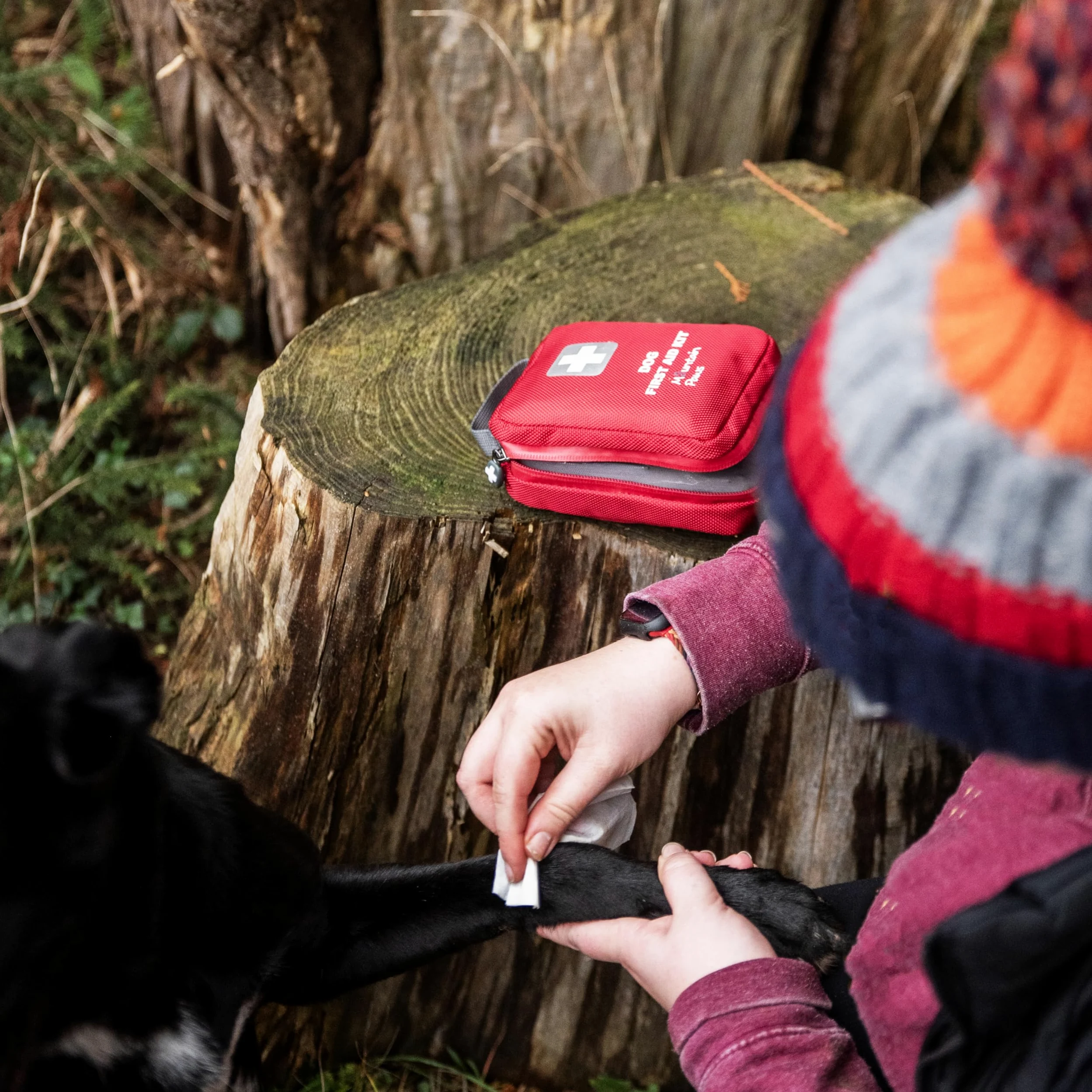 Mountain Paws Kit di Pronto Soccorso Multiuso per Cani da Viaggio, per casa, all'aperto o in Viaggio, Rosso