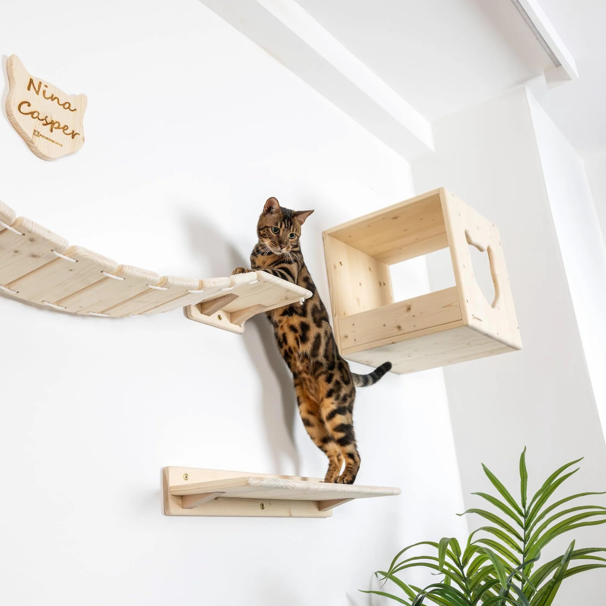 Mensole per Gatti da Parete in Legno d'Abete PEFC Artigianali, Mensola Gatto 40 cm, per Arrampicata e Percorso da Muro per Gatti con Resistenza Fino a 20 kg – Percorsipergatti
