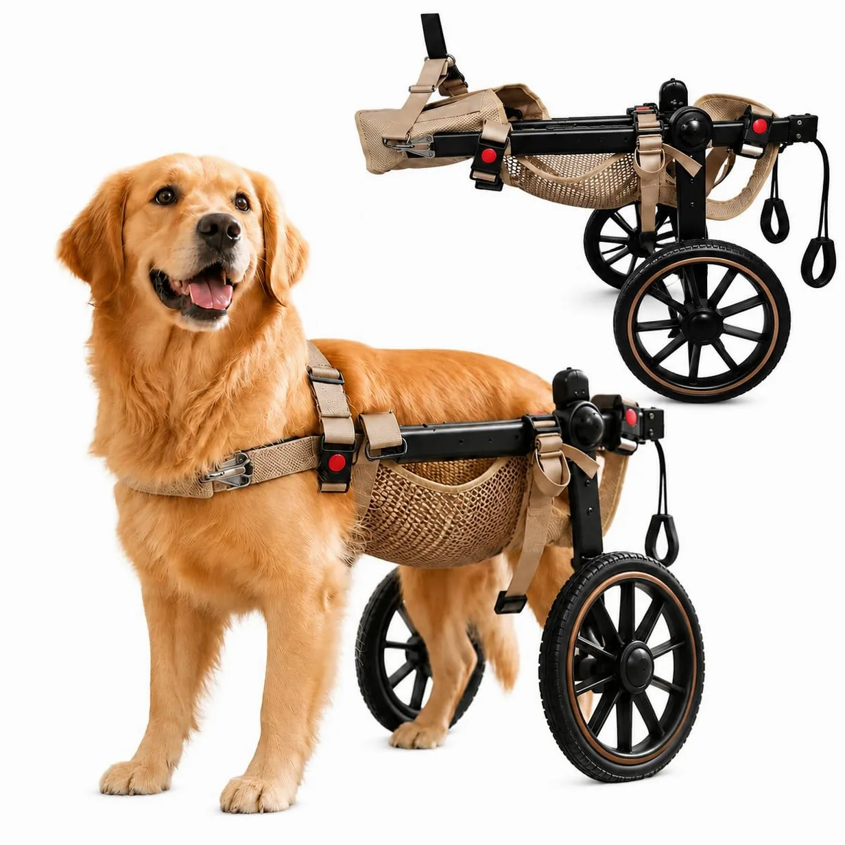Carrellino per Cani Regolabile, Zampe Posteriori，XL | Telaio in alluminio, ruote ammortizzate, design igienico aperto e fibbia rapida. Allevia l'artrosi senza stress.