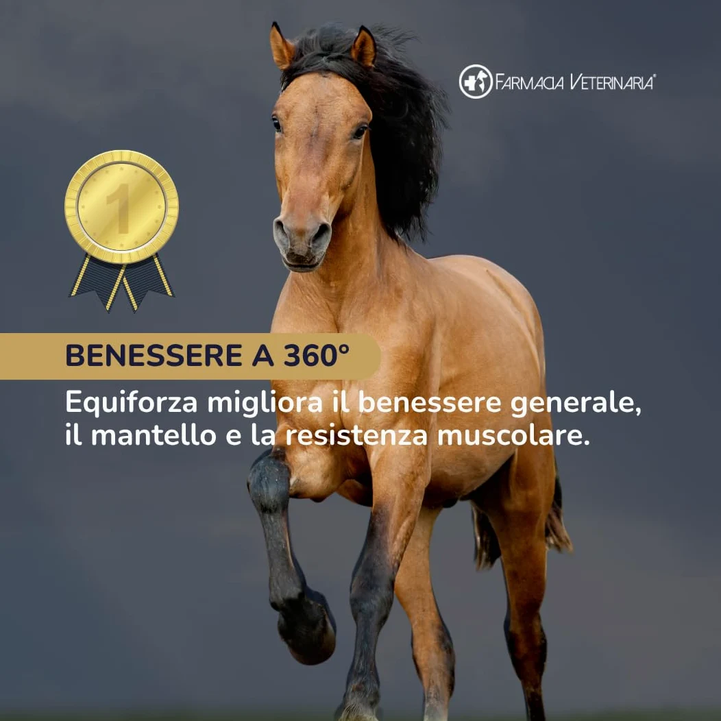 Equiforza Total Integratore in Polvere per Cavalli con BCAA, L-Carnitina, Gamma Orizanolo e Spirulina, Sviluppo Muscolare, Energia e Recupero, 1,5 kg
