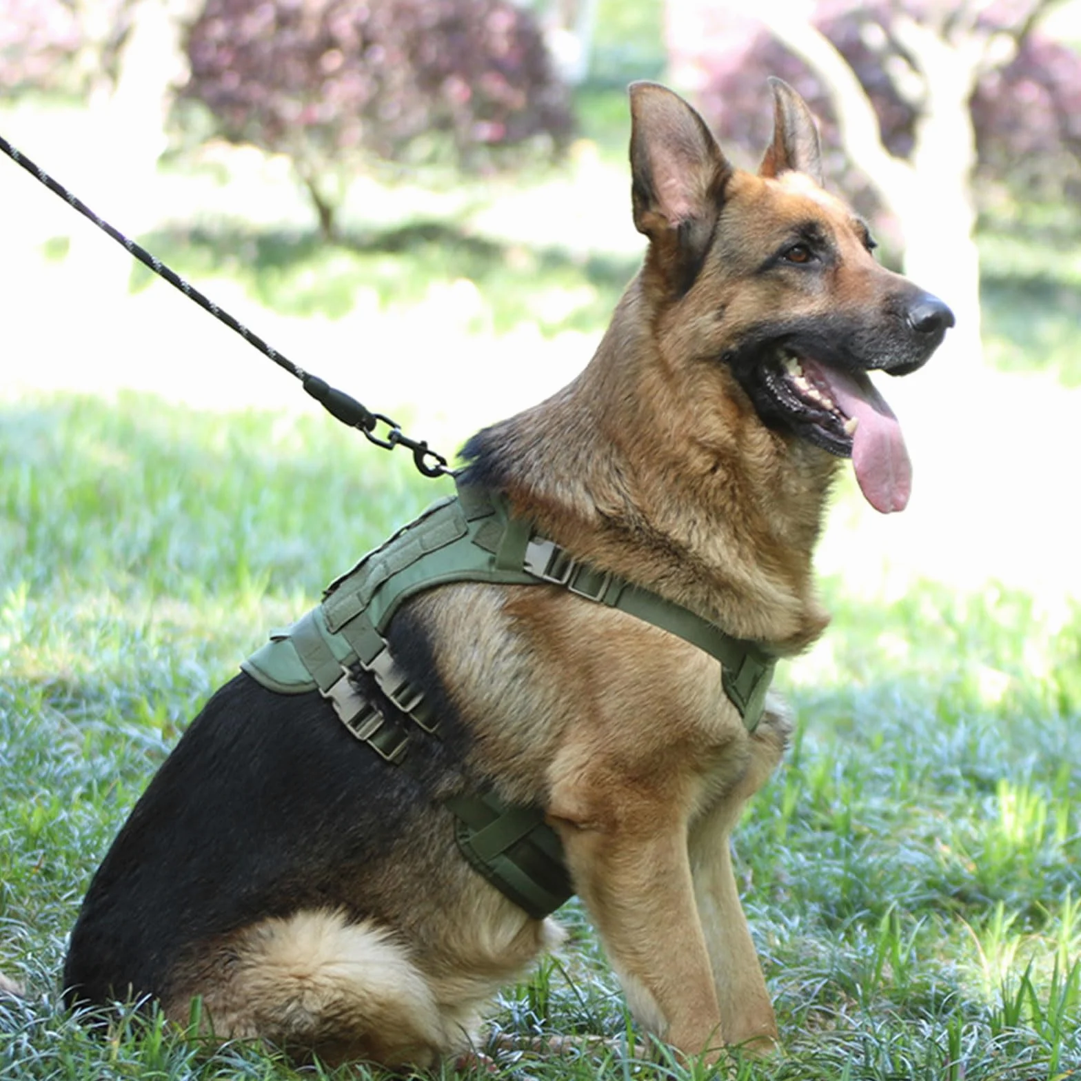 Robusta pettorina per cani in tessuto Oxford di grandi dimensioni con strisce riflettenti per migliorare la visibilità notturna e una facile regolazione gilet riflettente per cani
