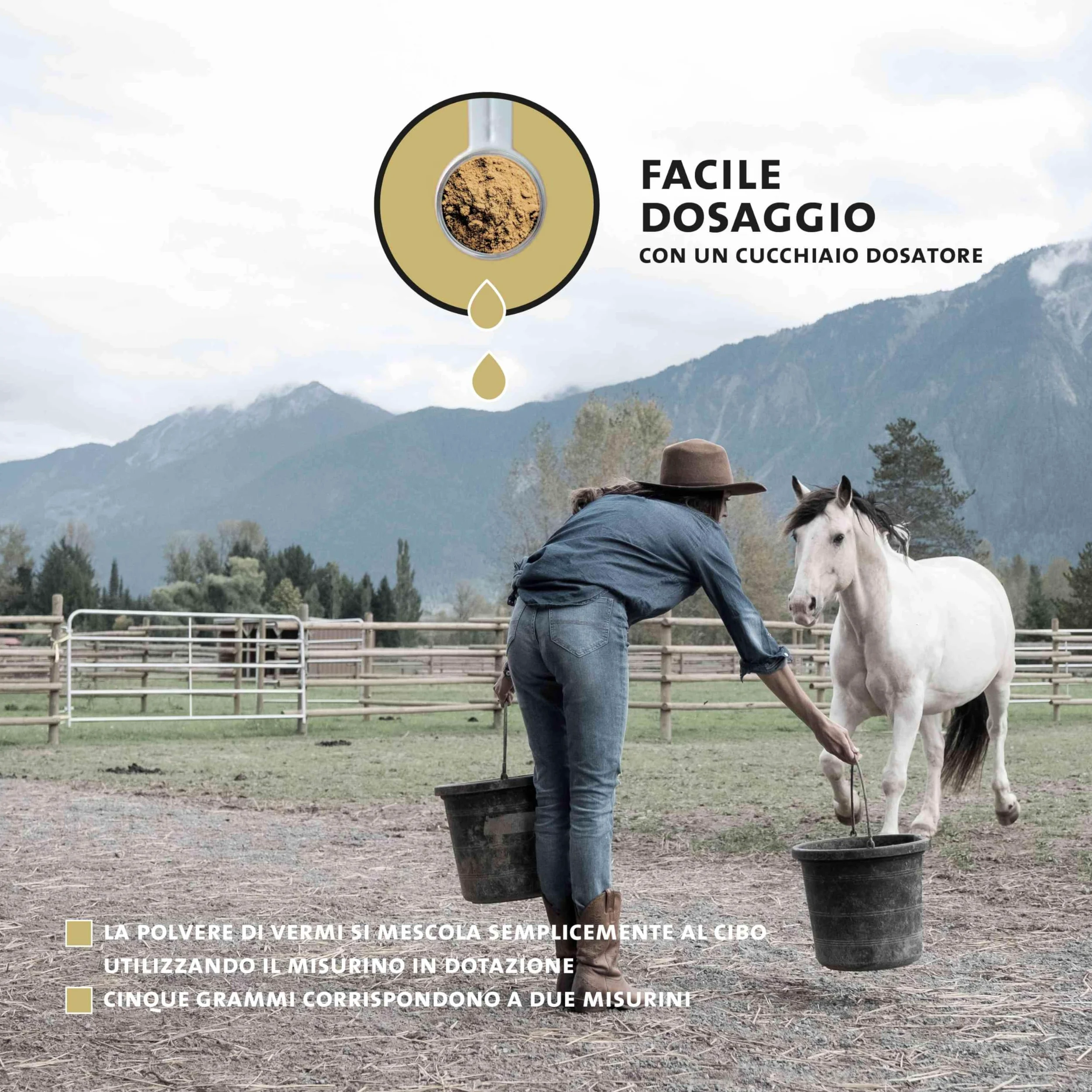 Peticare Polvere Flora Intestinale ed Erbe Cavalli – Supporto Naturale per l'Ambiente Intestinale – Con Semi di Zucca e Assenzio – Integratore per Cavalli