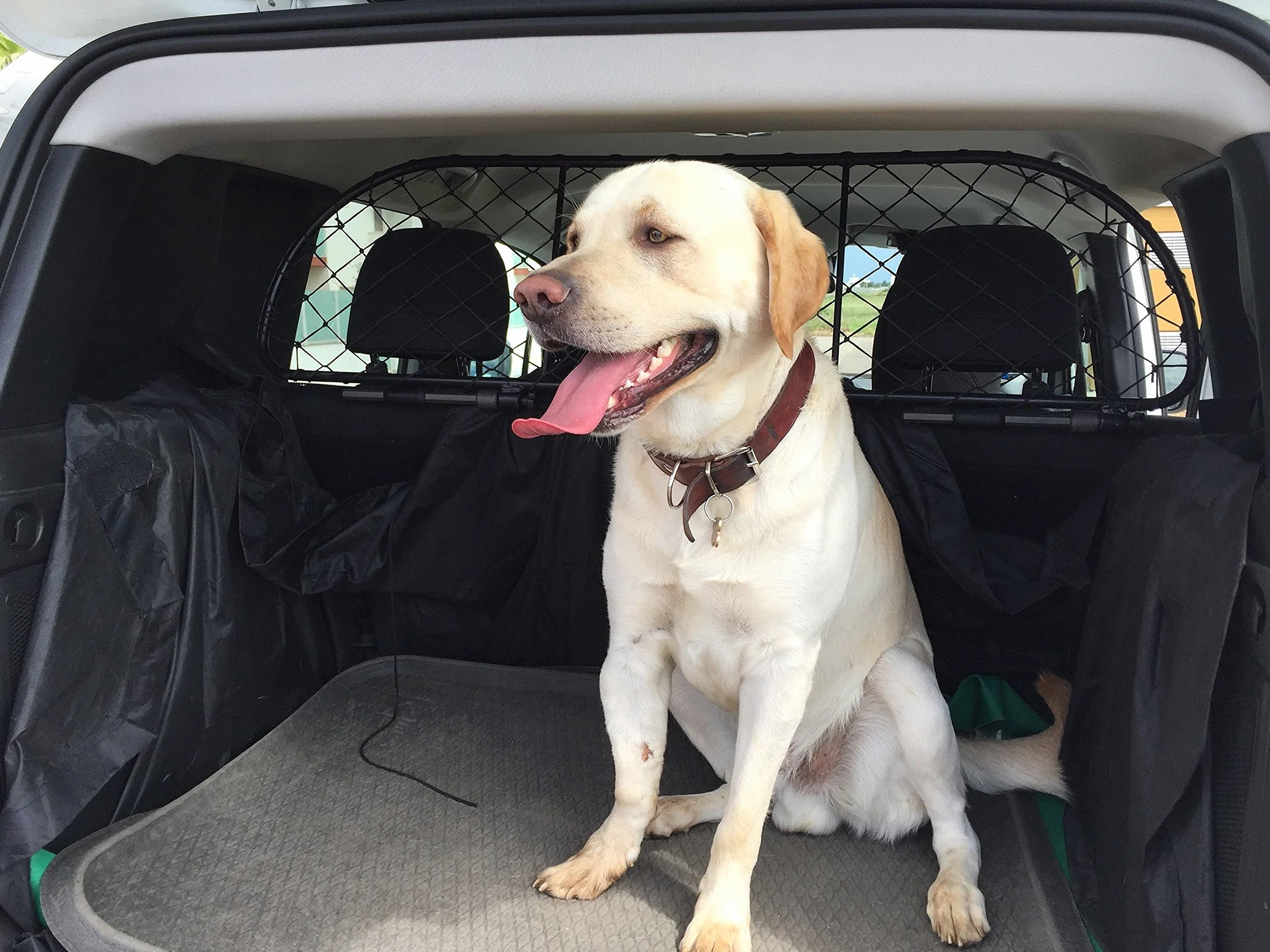 ERGOTECH Divisorio Griglia Rete Divisoria Compatibile con Jeep Renegade, RDA65-M kjp006 per Trasporto Cani e Bagagli. Sicuro, Confortevole, garantito!
