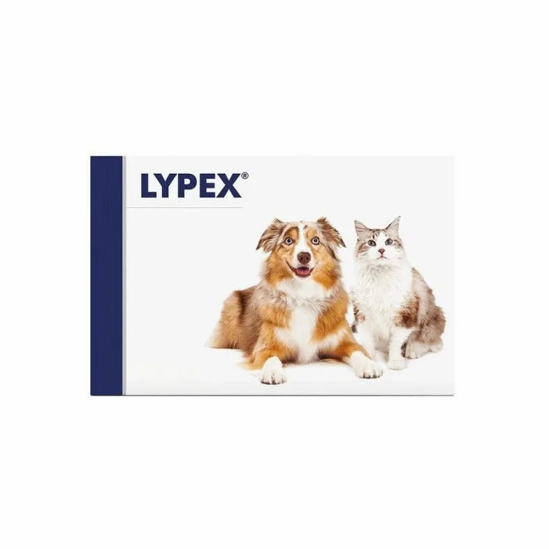LYPEX BLISTER 60 CAPSULE