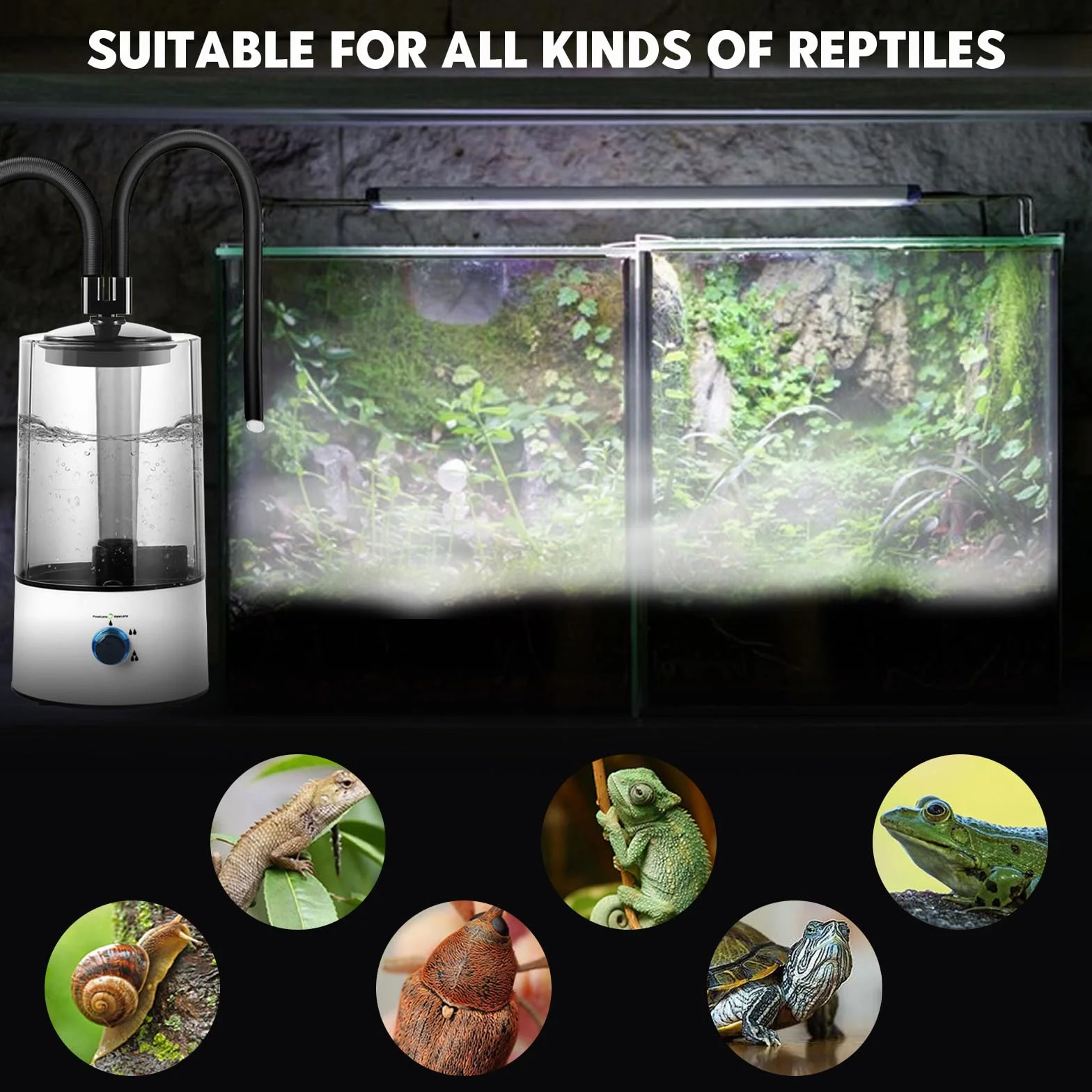Umidificatore Rettile Terrario, Nebulizzatore Terrario con Doppio Condotto Allungabile, Regolazione a Tre livelli, Umidificatore Terrario per una Varietà di Rettili