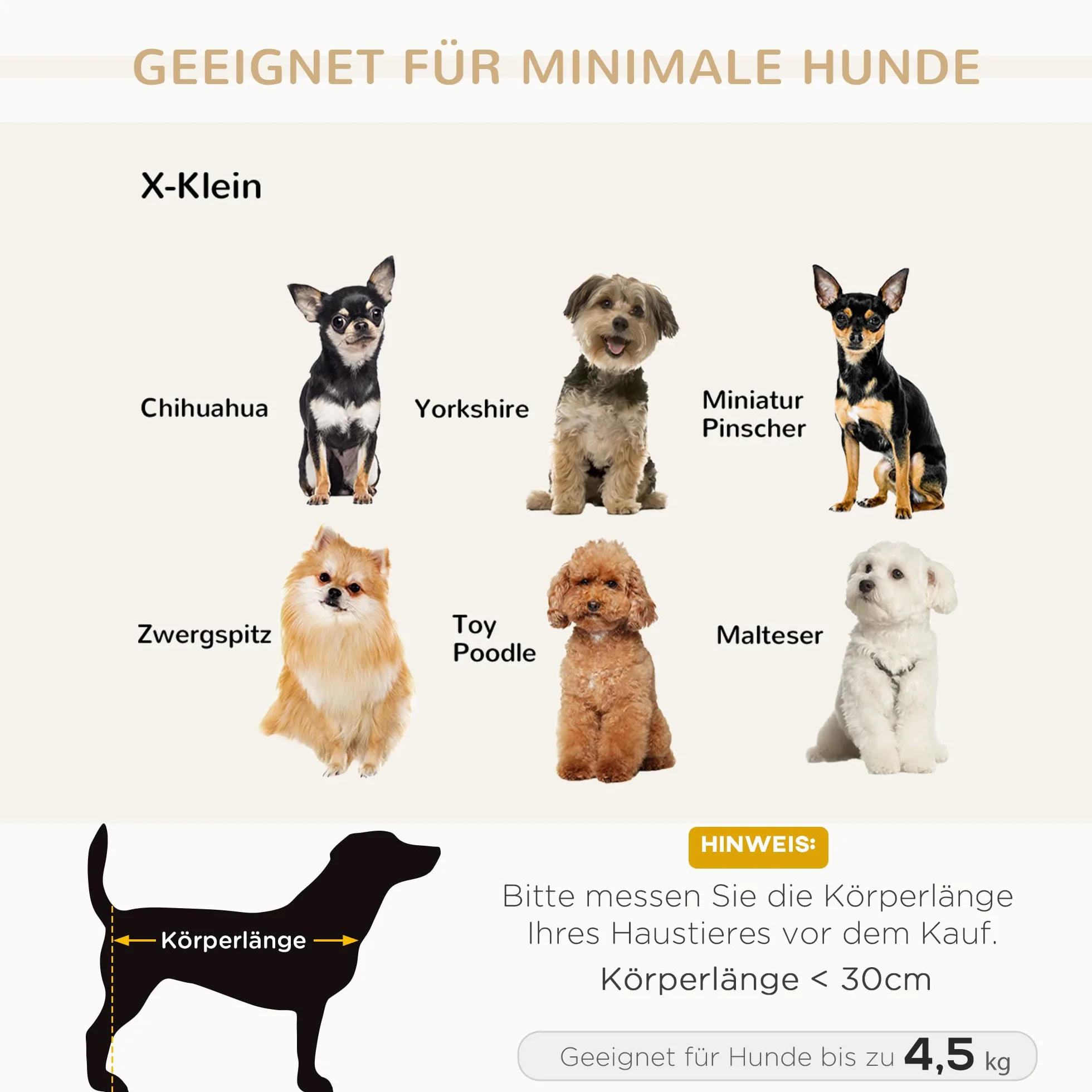 PawHut D04-016, divanetto di lusso per cani e gatti, con cuscino, per riposare, colore grigio.