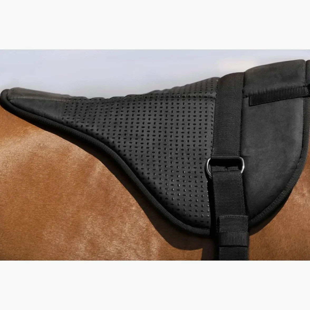 Equithème Bareback Pad Norton Black in Size: Full (EU). - Nero - Full