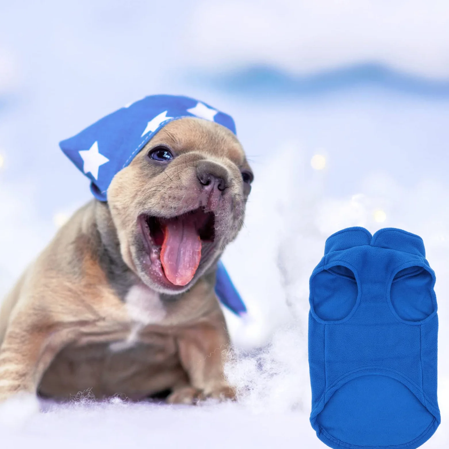 POPETPOP 3 Pz Gilet per Animali Domestici Cappotti Invernali per Cuccioli Abbigliamento per Cuccioli Costume da Cane da Vacanza Felpe per Cani Pile Portare a Spasso Il Cane Gattino