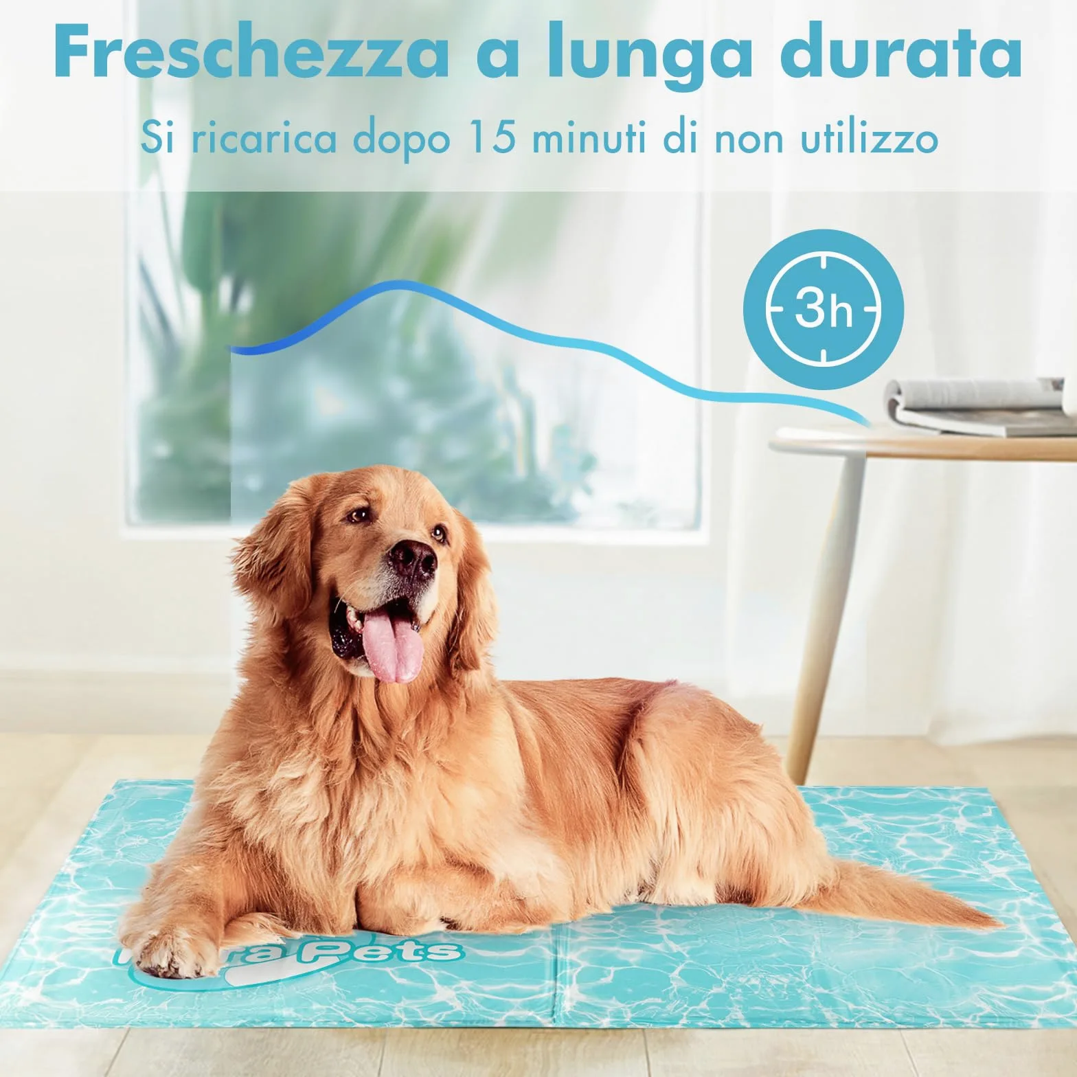 Pawtasy Tappetino Refrigerante per Cani e Gatti Tappeto Rinfrescante in Gel Non Tossico Materassino Raffreddamento per Animali Perfetto per Cani e Gatti in Estate XXL 120 x 80 cm